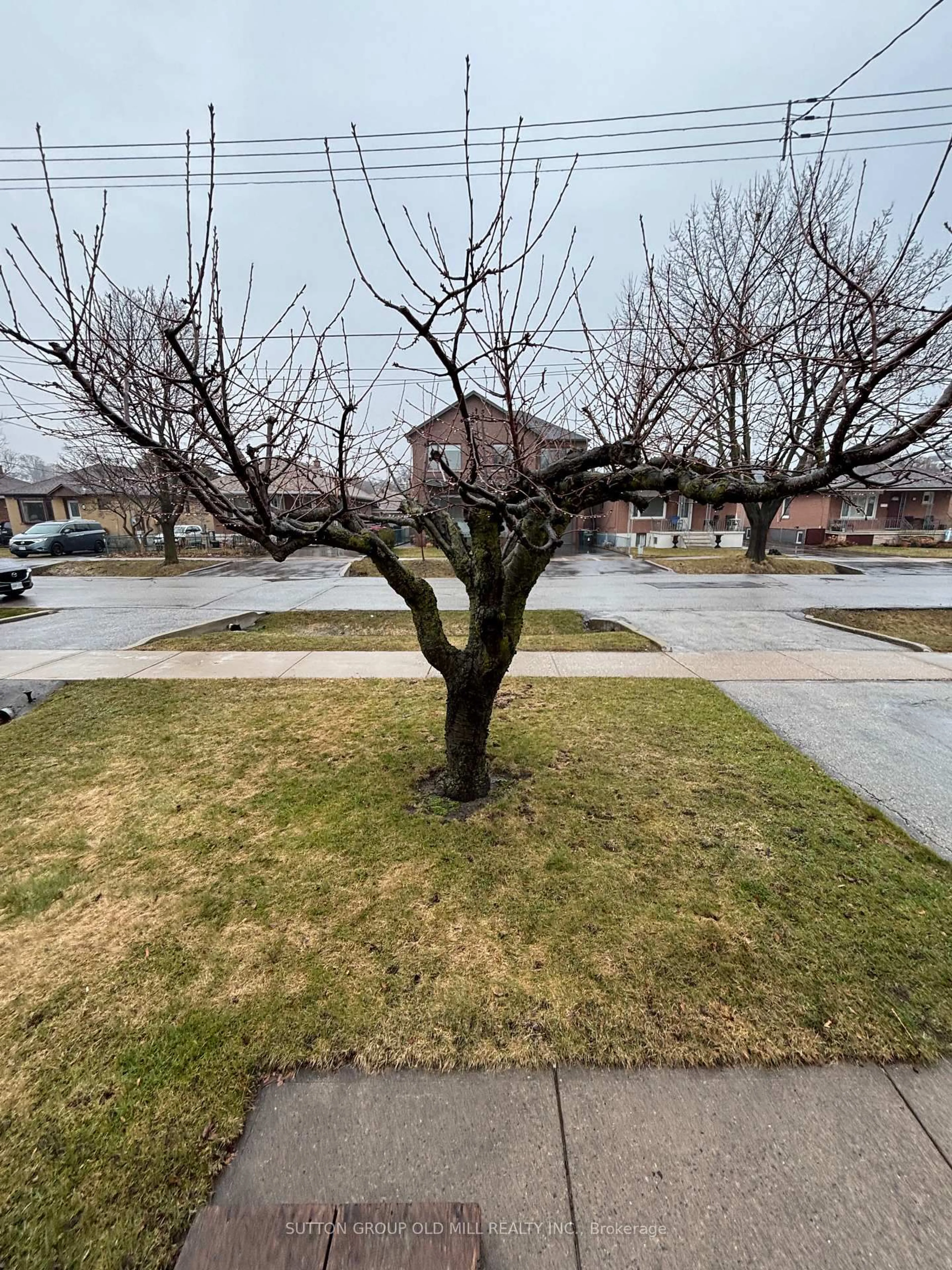 A pic from outside/outdoor area/front of a property/back of a property/a pic from drone, street for 14 Ashmore Ave, Toronto Ontario M8Z 4C4