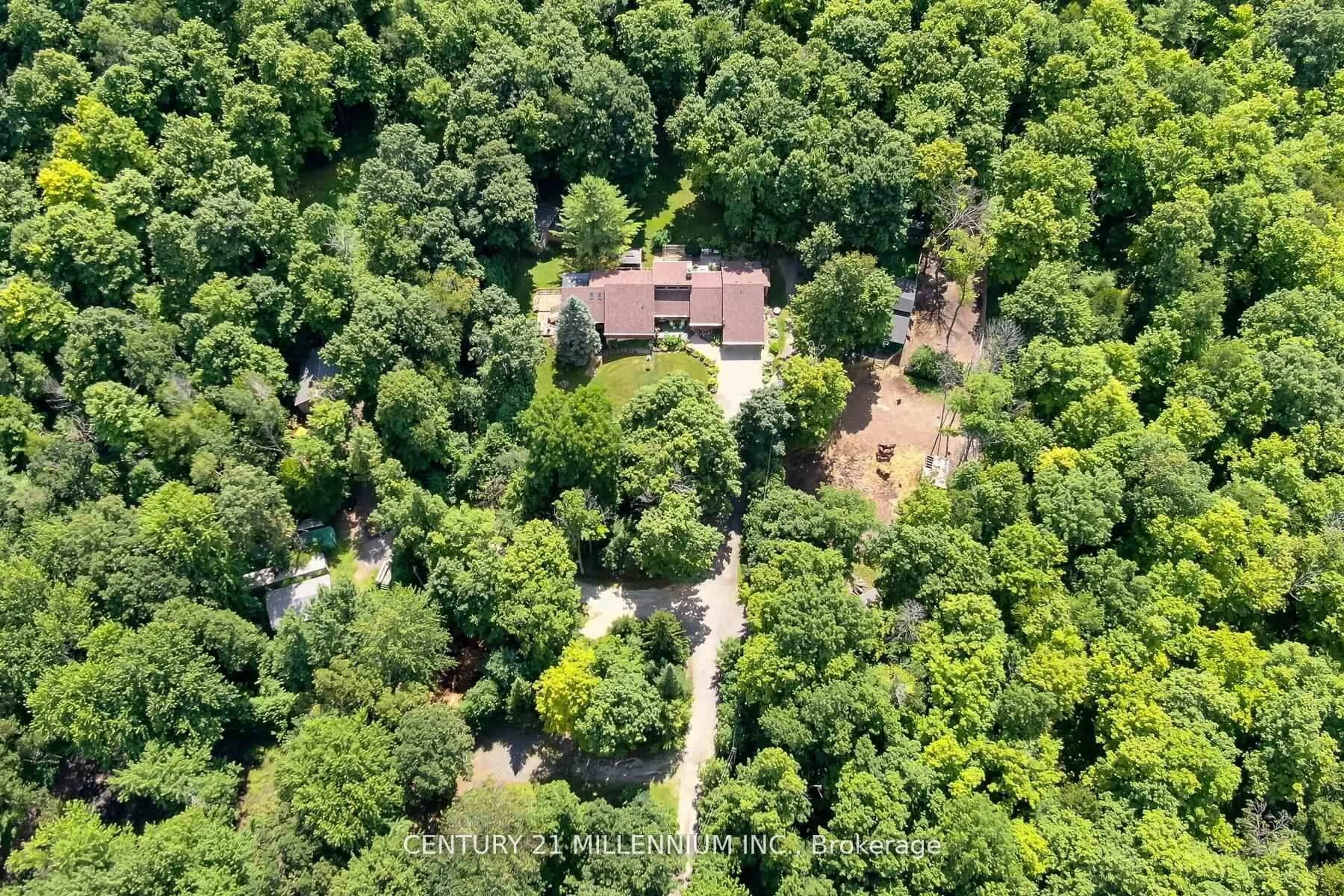 A pic from outside/outdoor area/front of a property/back of a property/a pic from drone, forest/trees view for 11646 Dublin Line, Halton Hills Ontario L7J 2M1