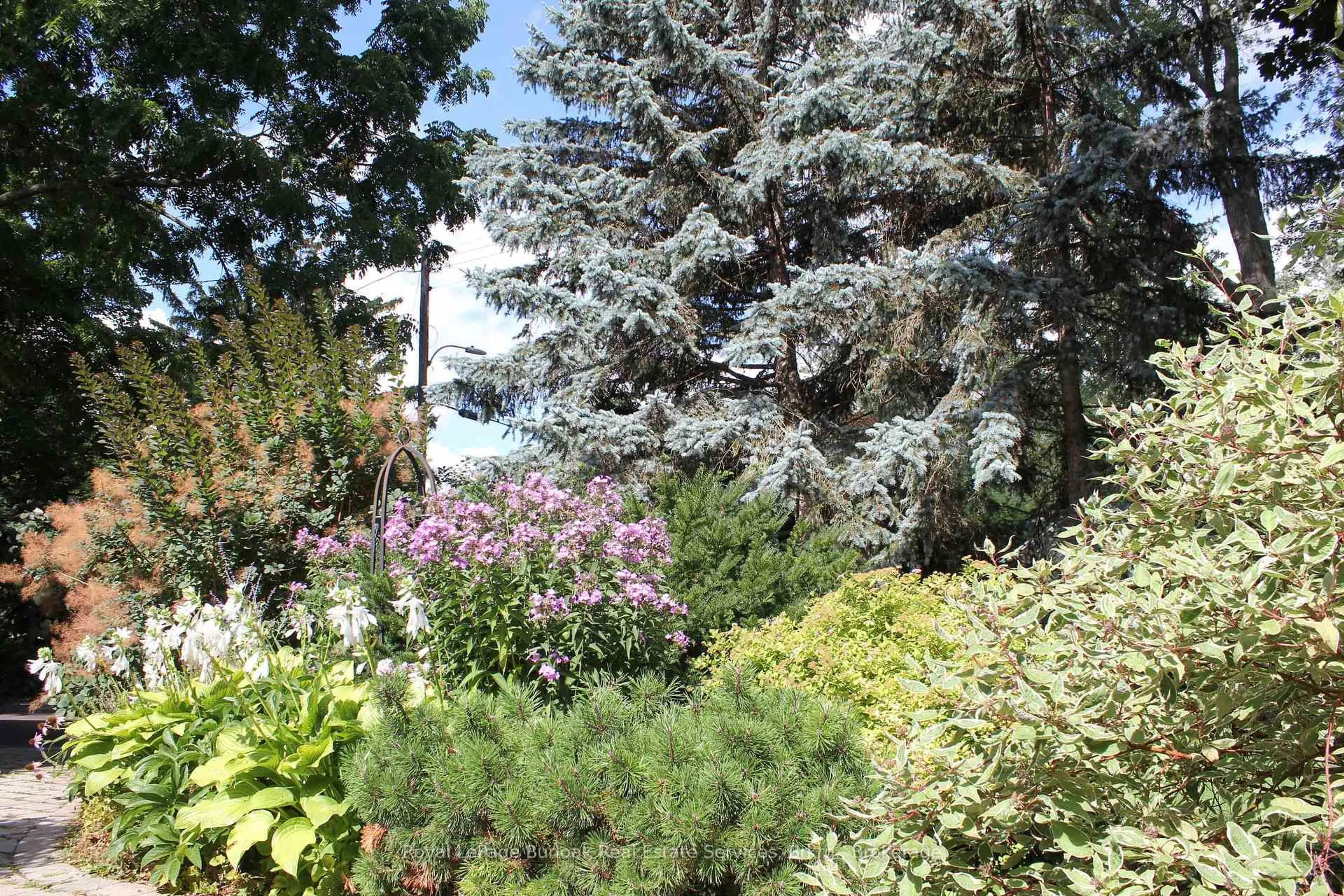 Patio, forest/trees view for 3012 First St, Burlington Ontario L7N 1C3