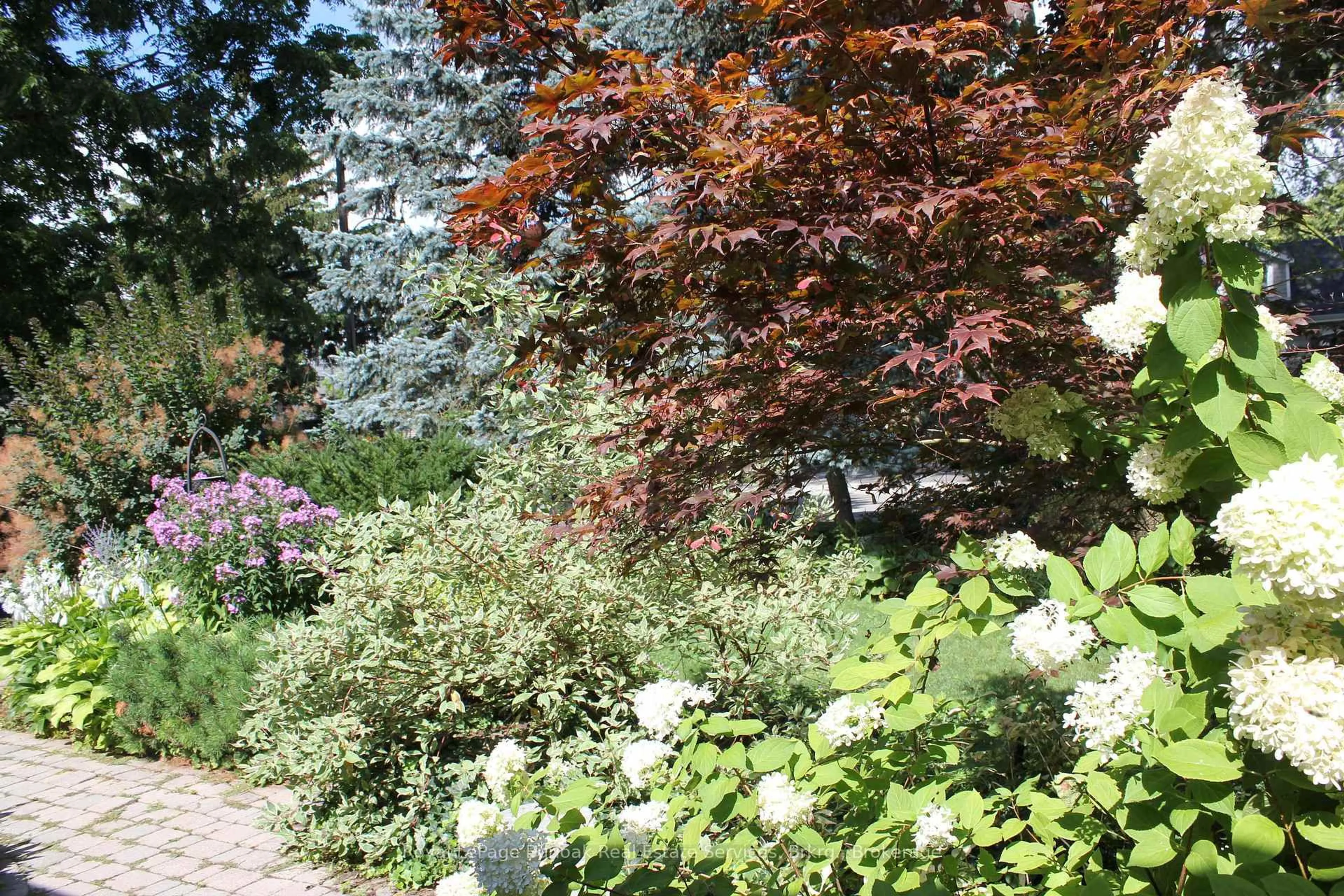 Patio, forest/trees view for 3012 First St, Burlington Ontario L7N 1C3