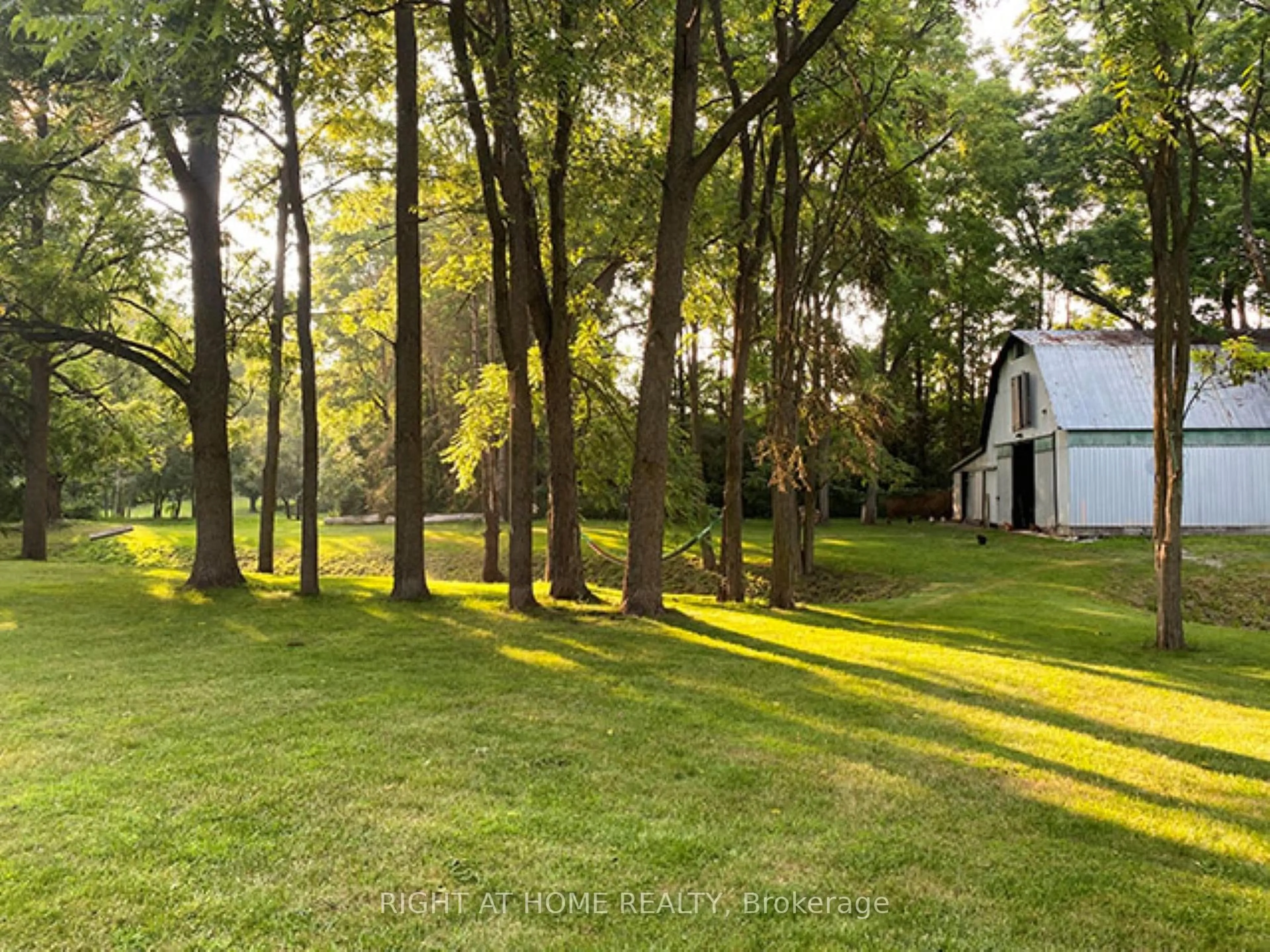 A pic from outside/outdoor area/front of a property/back of a property/a pic from drone, forest/trees view for 7454 Old Church Rd, Caledon Ontario L7C 0H5