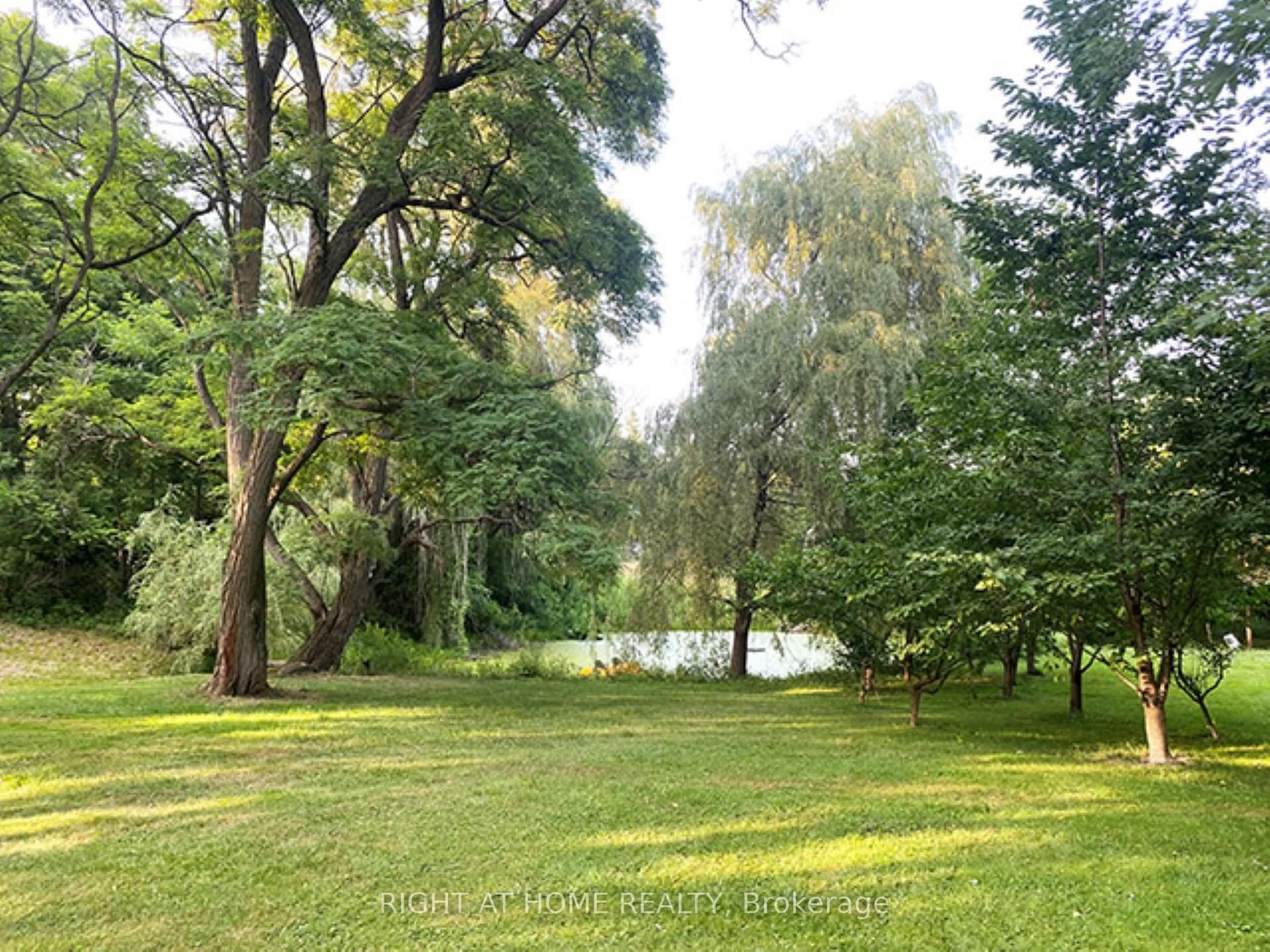 A pic from outside/outdoor area/front of a property/back of a property/a pic from drone, forest/trees view for 7454 Old Church Rd, Caledon Ontario L7C 0H5
