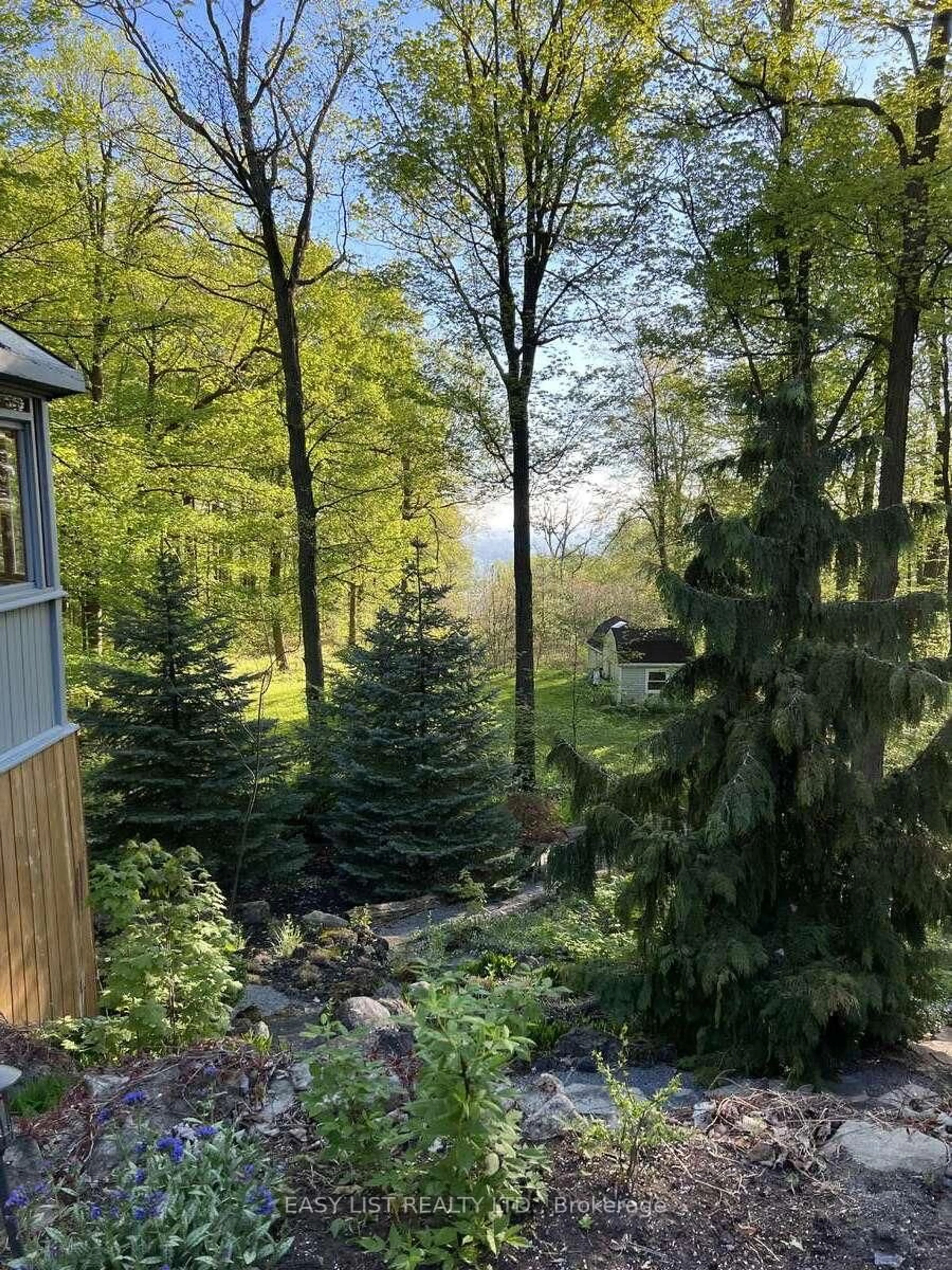 A pic from outside/outdoor area/front of a property/back of a property/a pic from drone, forest/trees view for 7507 Bell School Line, Milton Ontario L9T 2Y1