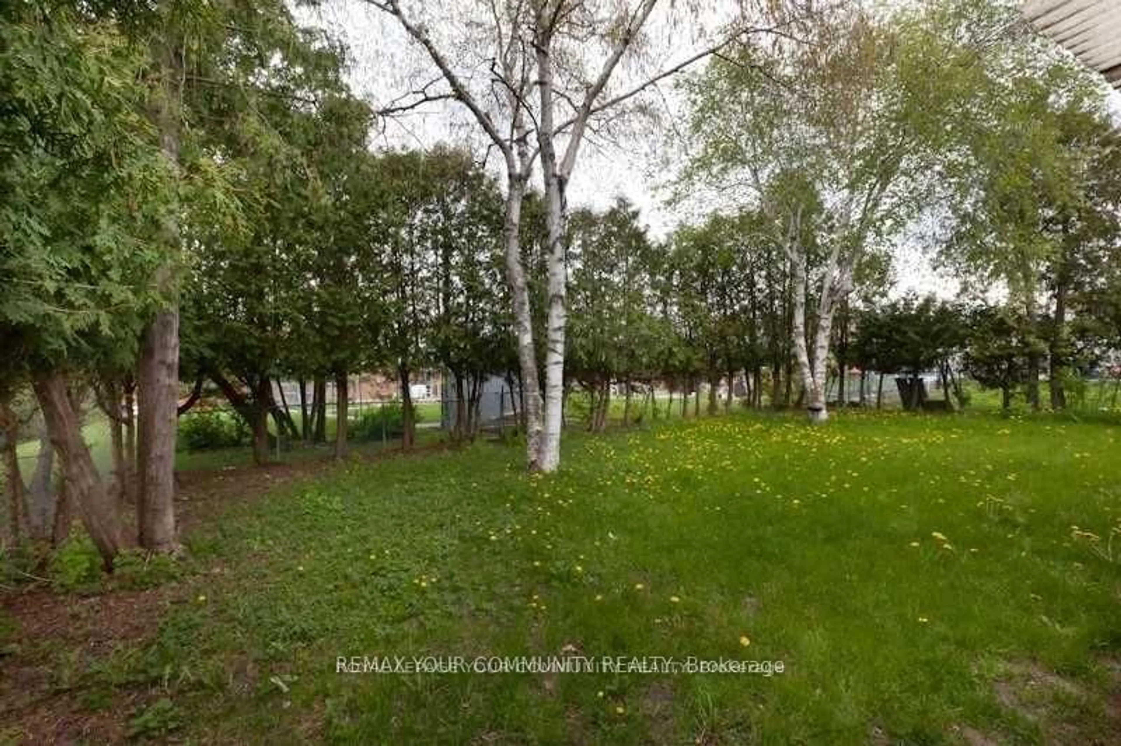 Patio, forest/trees view for 8 Stanwood Cres, Toronto Ontario M9M 1Z9