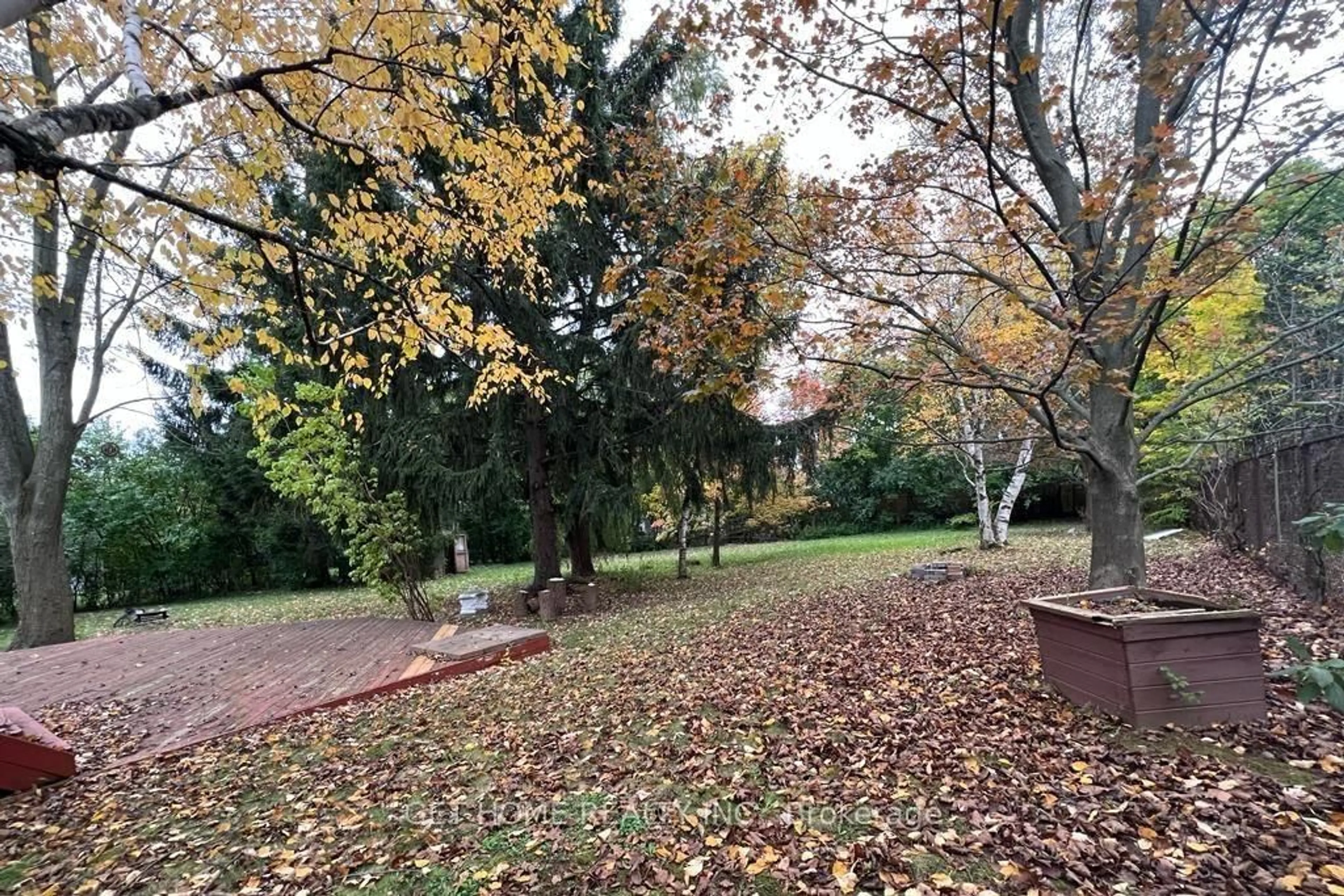 A pic from outside/outdoor area/front of a property/back of a property/a pic from drone, forest/trees view for 1128 Kent Ave, Oakville Ontario L6H 1Z8