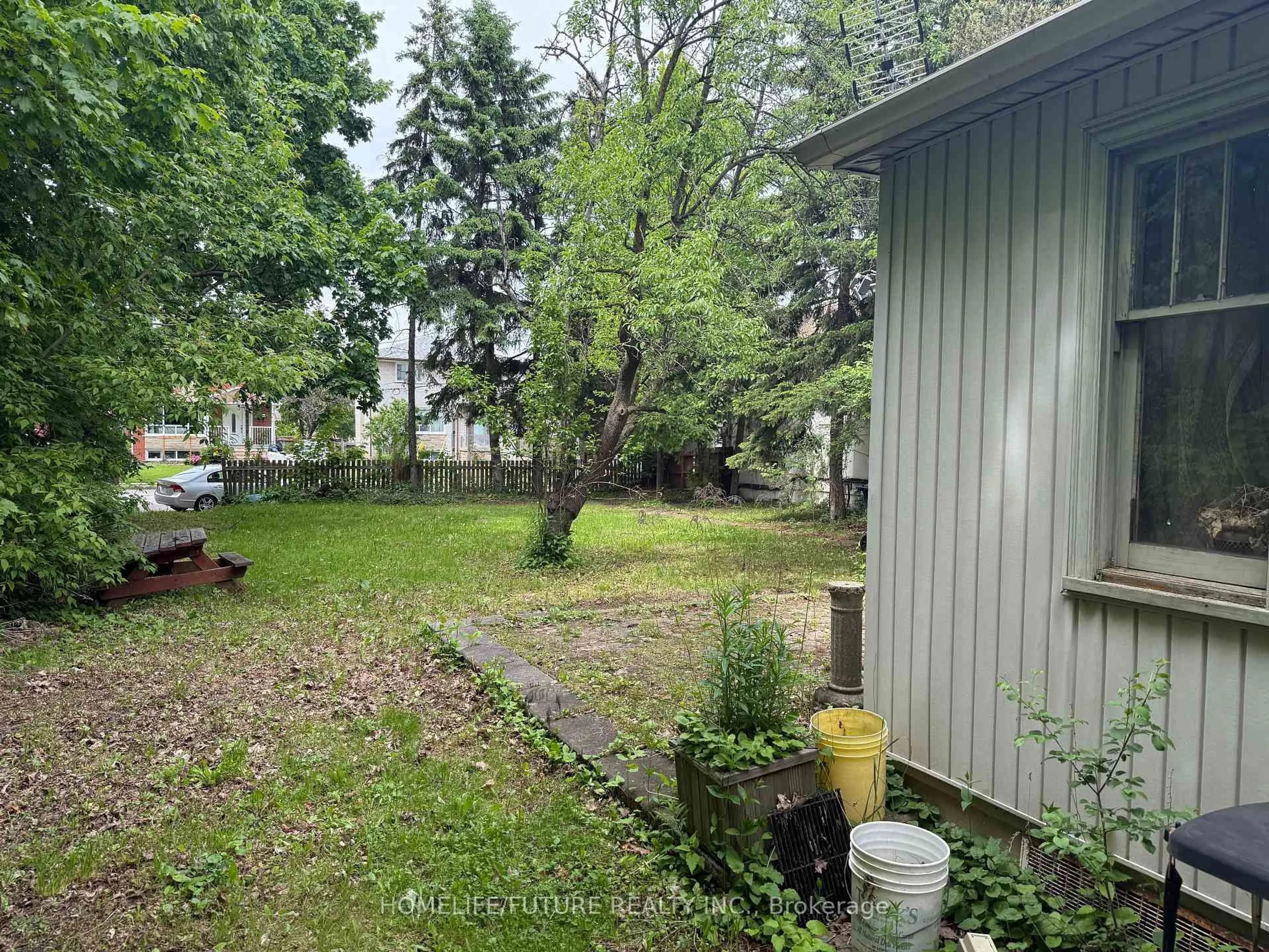 Unknown for 31 Maple Bush Ave, Toronto Ontario M9N 1S7