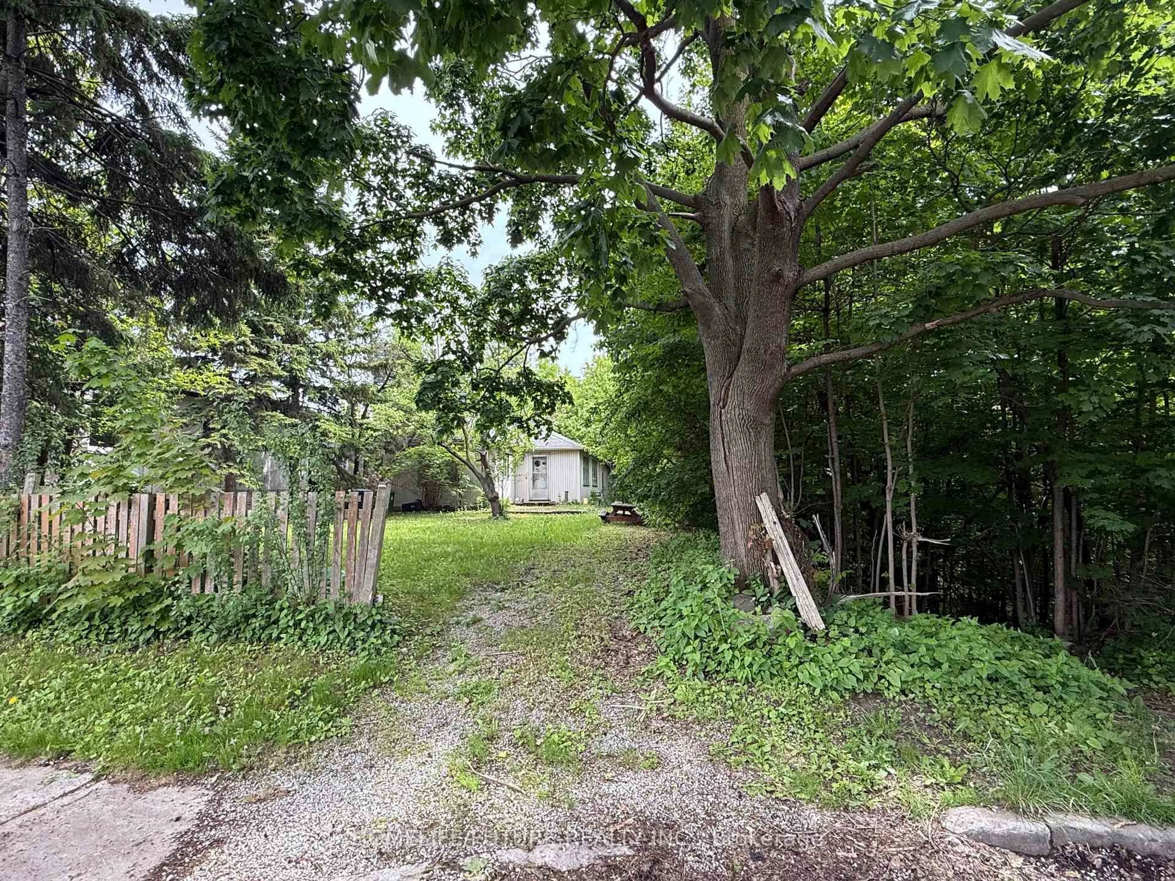 Shed for 31 Maple Bush Ave, Toronto Ontario M9N 1S7