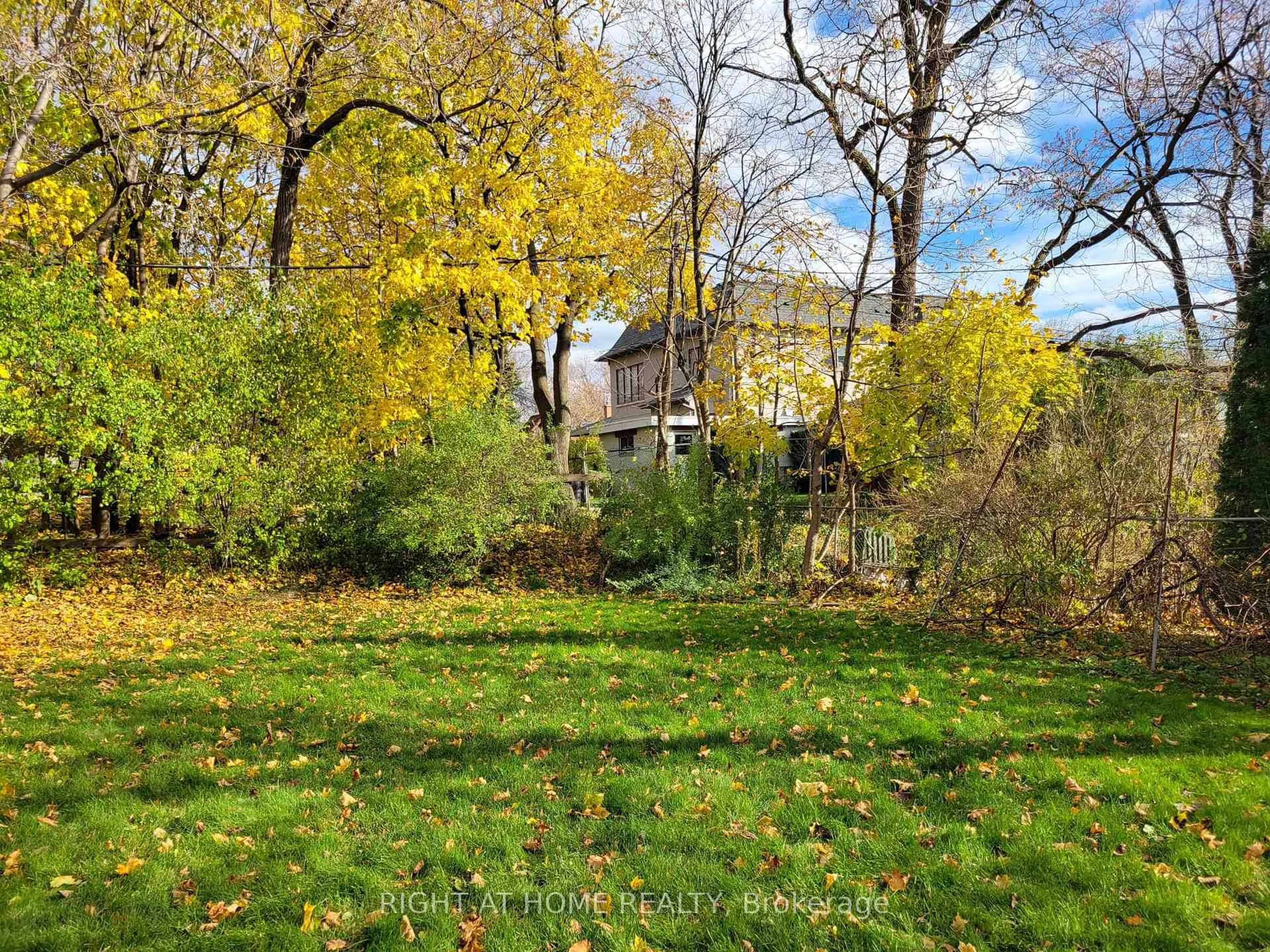 A pic from outside/outdoor area/front of a property/back of a property/a pic from drone, forest/trees view for 15 Blaketon Rd, Toronto Ontario M9B 4V8