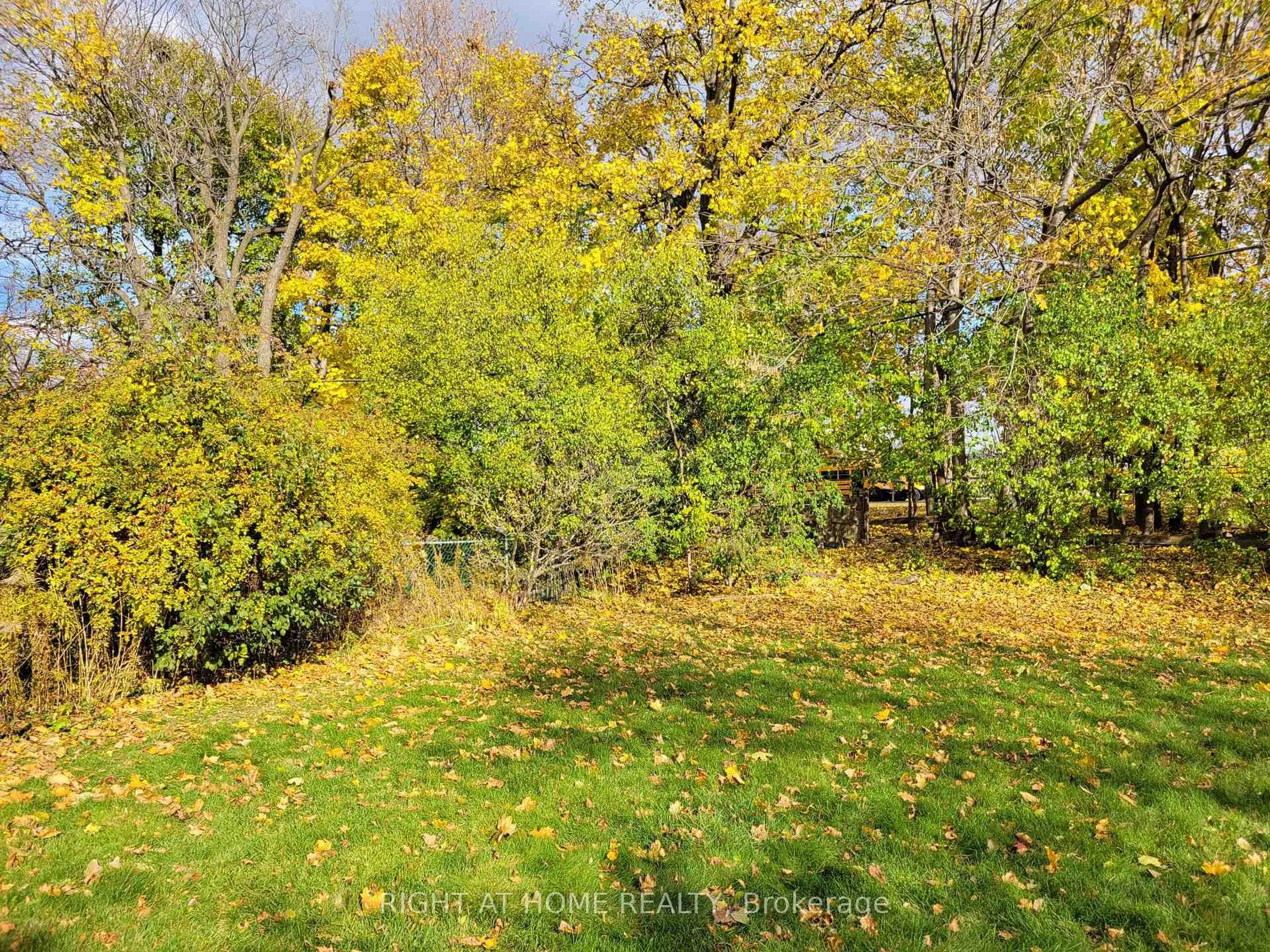 A pic from outside/outdoor area/front of a property/back of a property/a pic from drone, forest/trees view for 15 Blaketon Rd, Toronto Ontario M9B 4V8