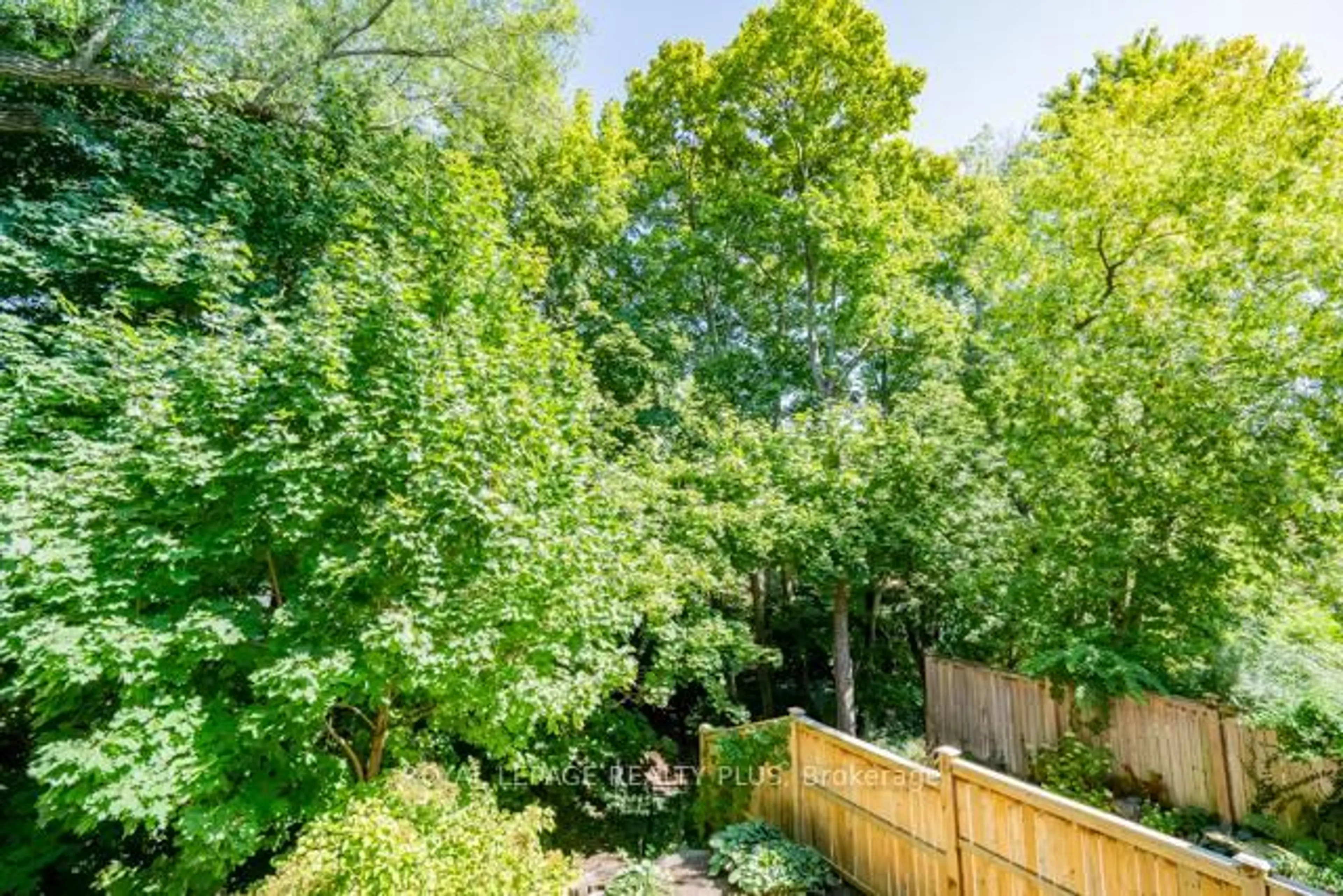 A pic from outside/outdoor area/front of a property/back of a property/a pic from drone, forest/trees view for 83 Kerr St, Oakville Ontario L6K 3A2