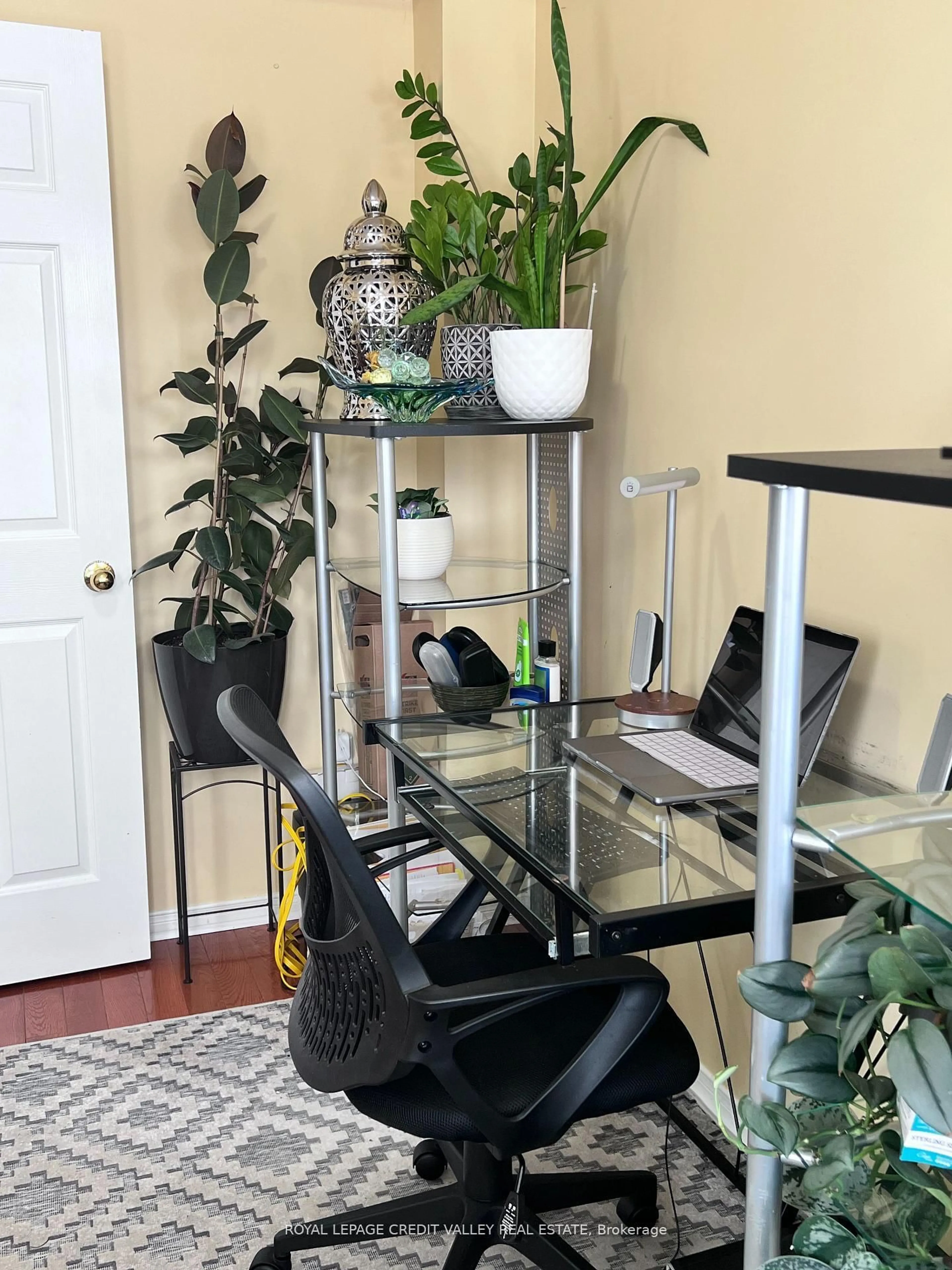 Unknown for 4 Kanata Rd, Brampton Ontario L7A 3R2