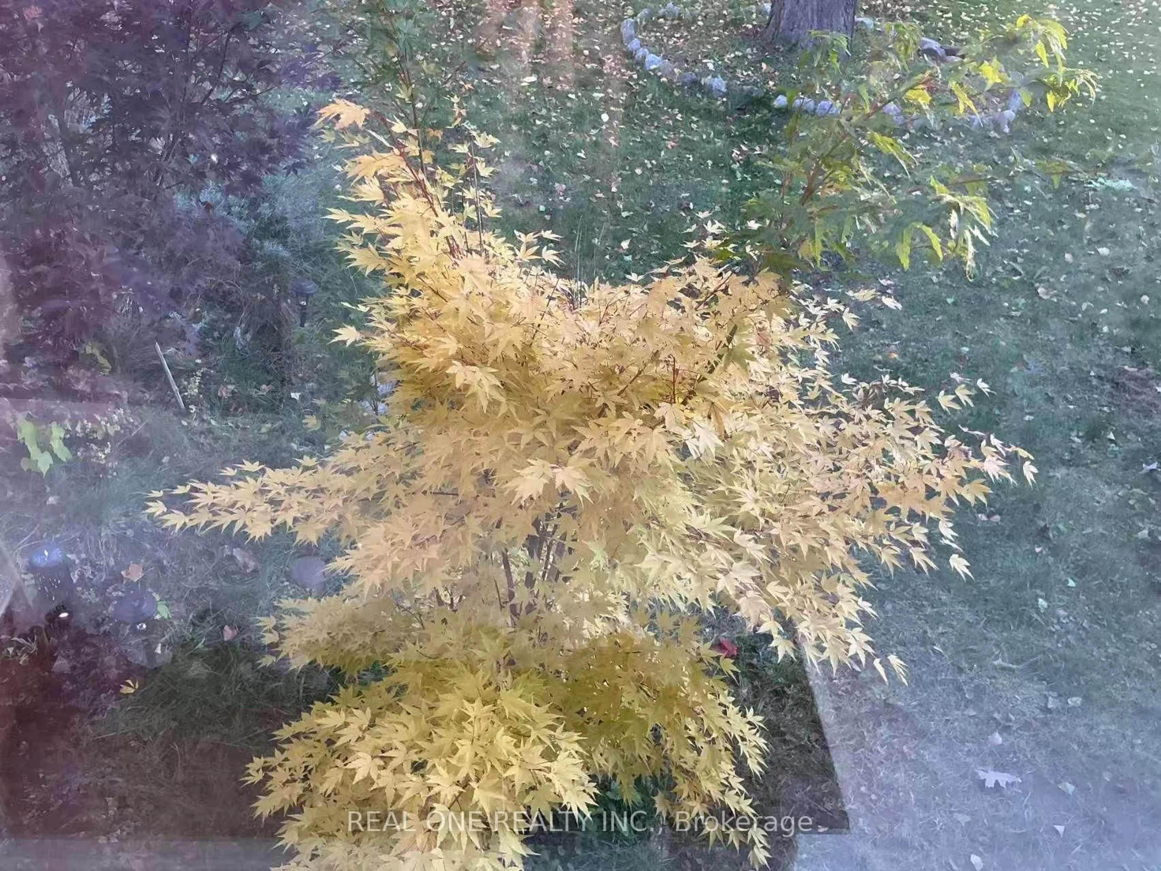 Blurry image for 3537 Enniskillen Circ, Mississauga Ontario L5C 2M9