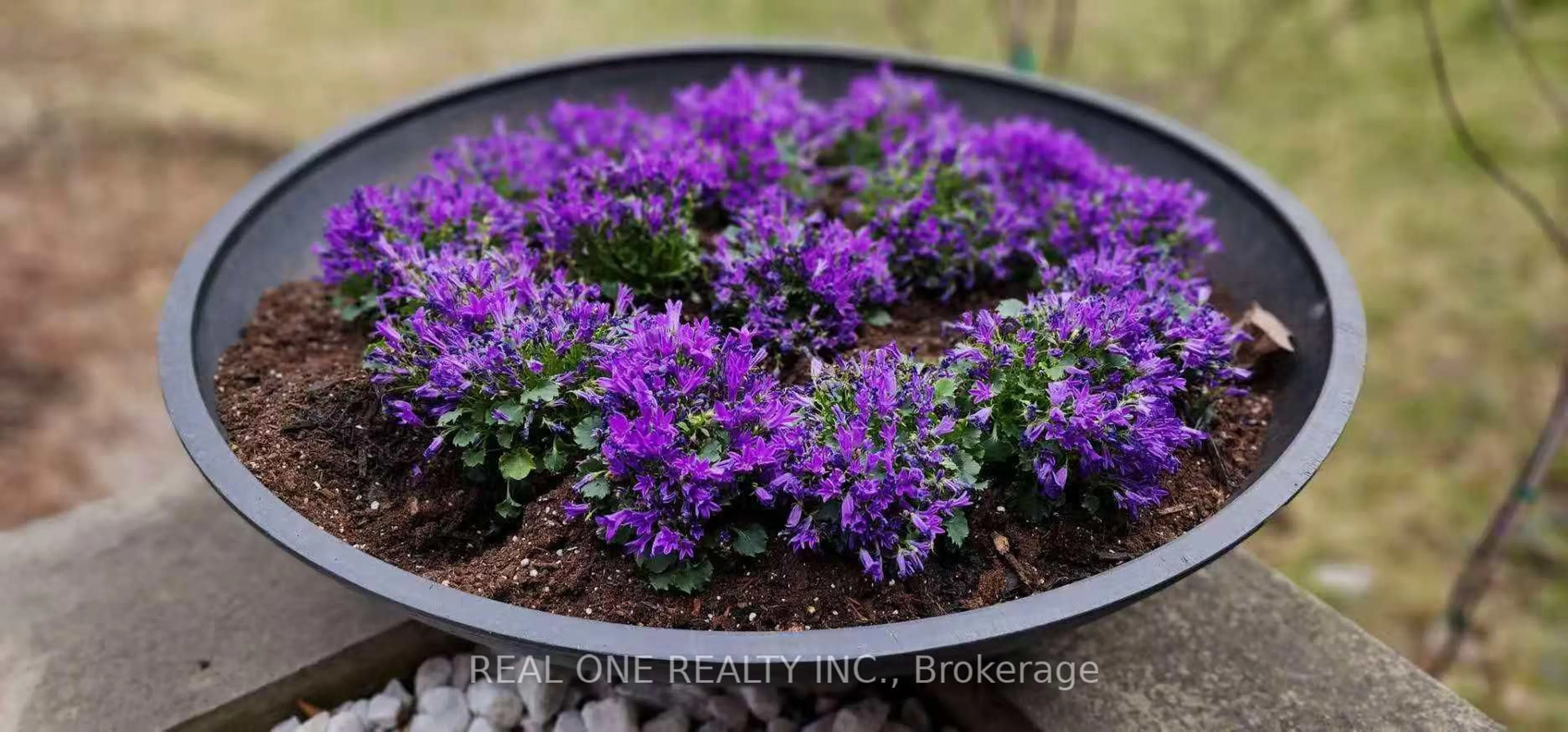 Blurry image for 3537 Enniskillen Circ, Mississauga Ontario L5C 2M9