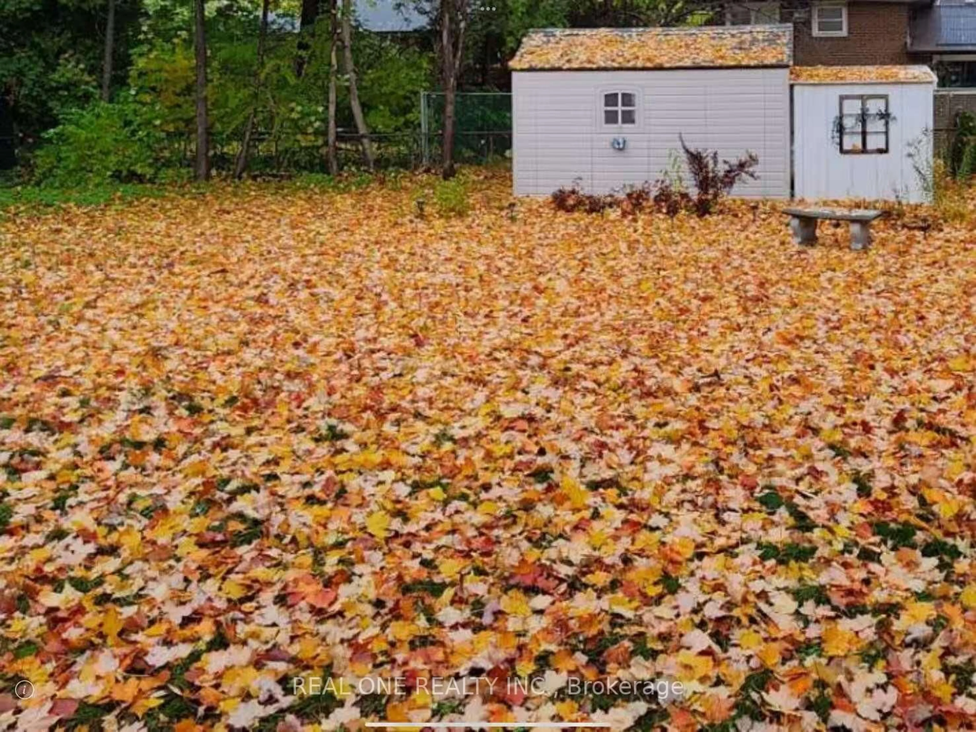 Shed for 3537 Enniskillen Circ, Mississauga Ontario L5C 2M9
