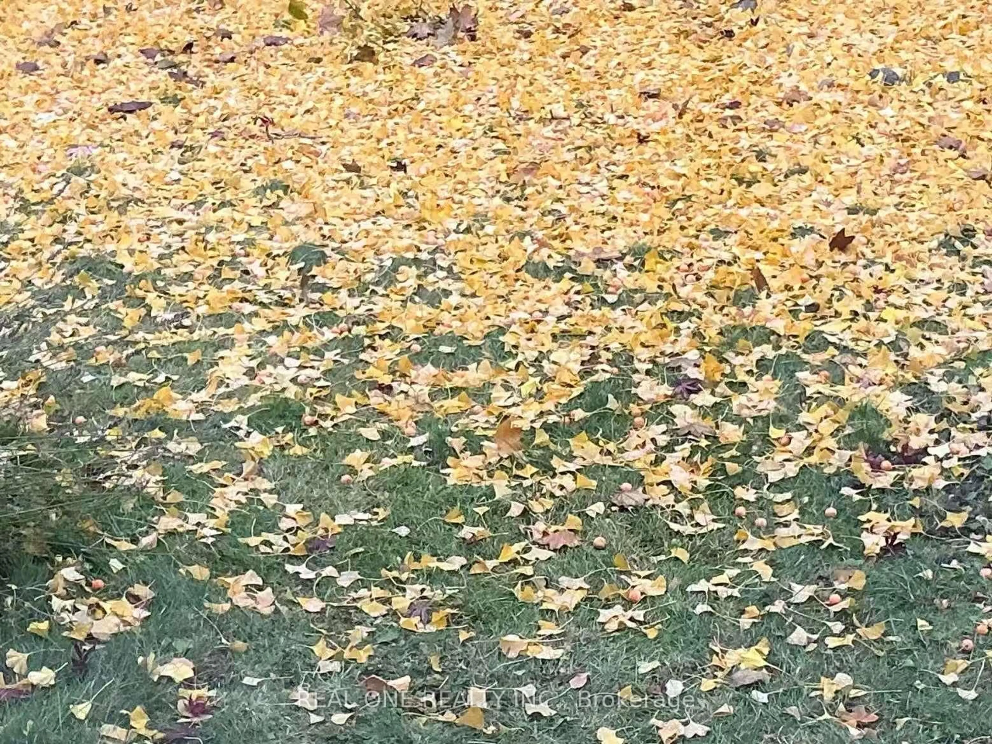 Blurry image for 3537 Enniskillen Circ, Mississauga Ontario L5C 2M9