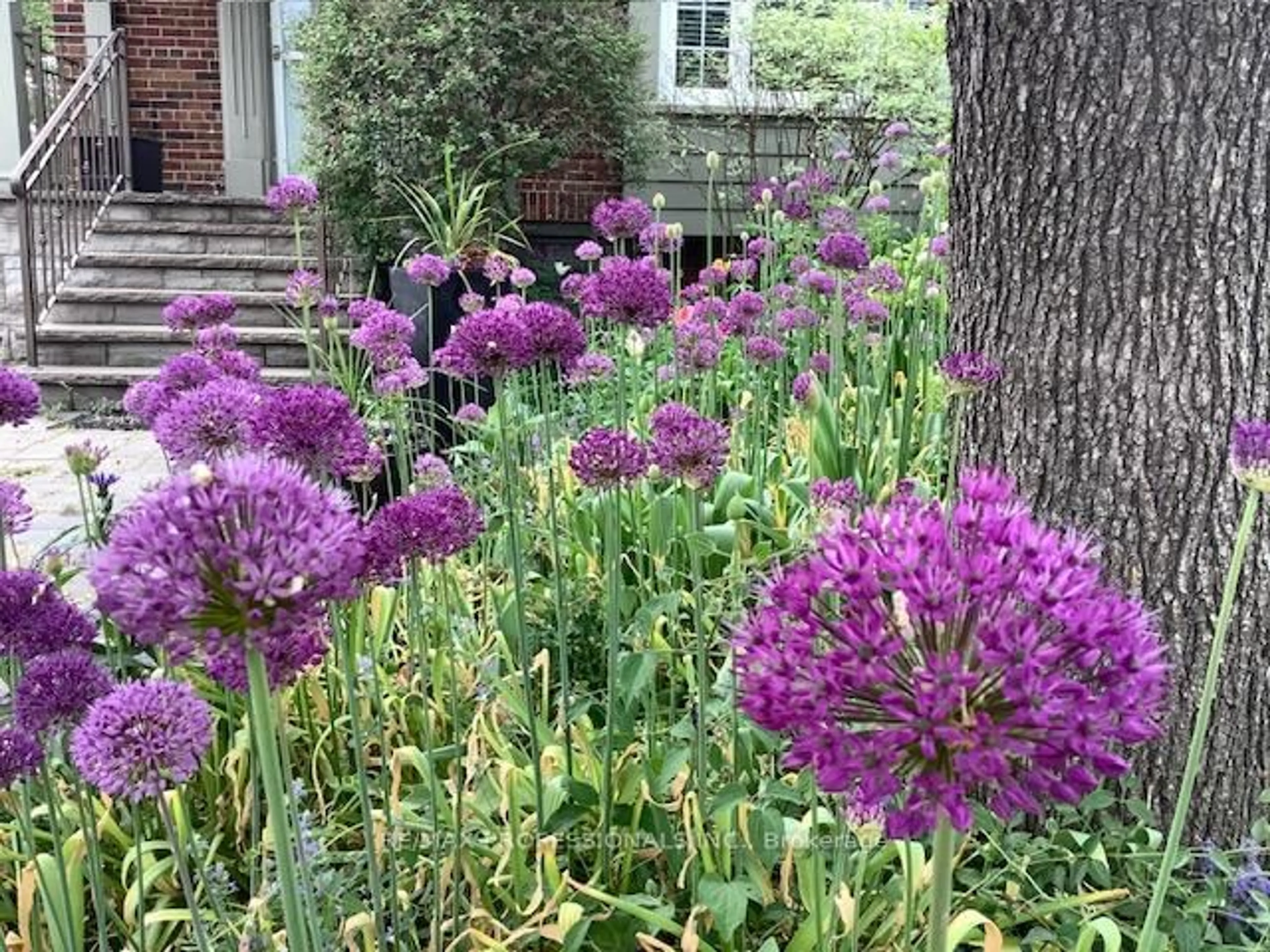 Unknown for 46 Twentieth St, Toronto Ontario M8V 3L6