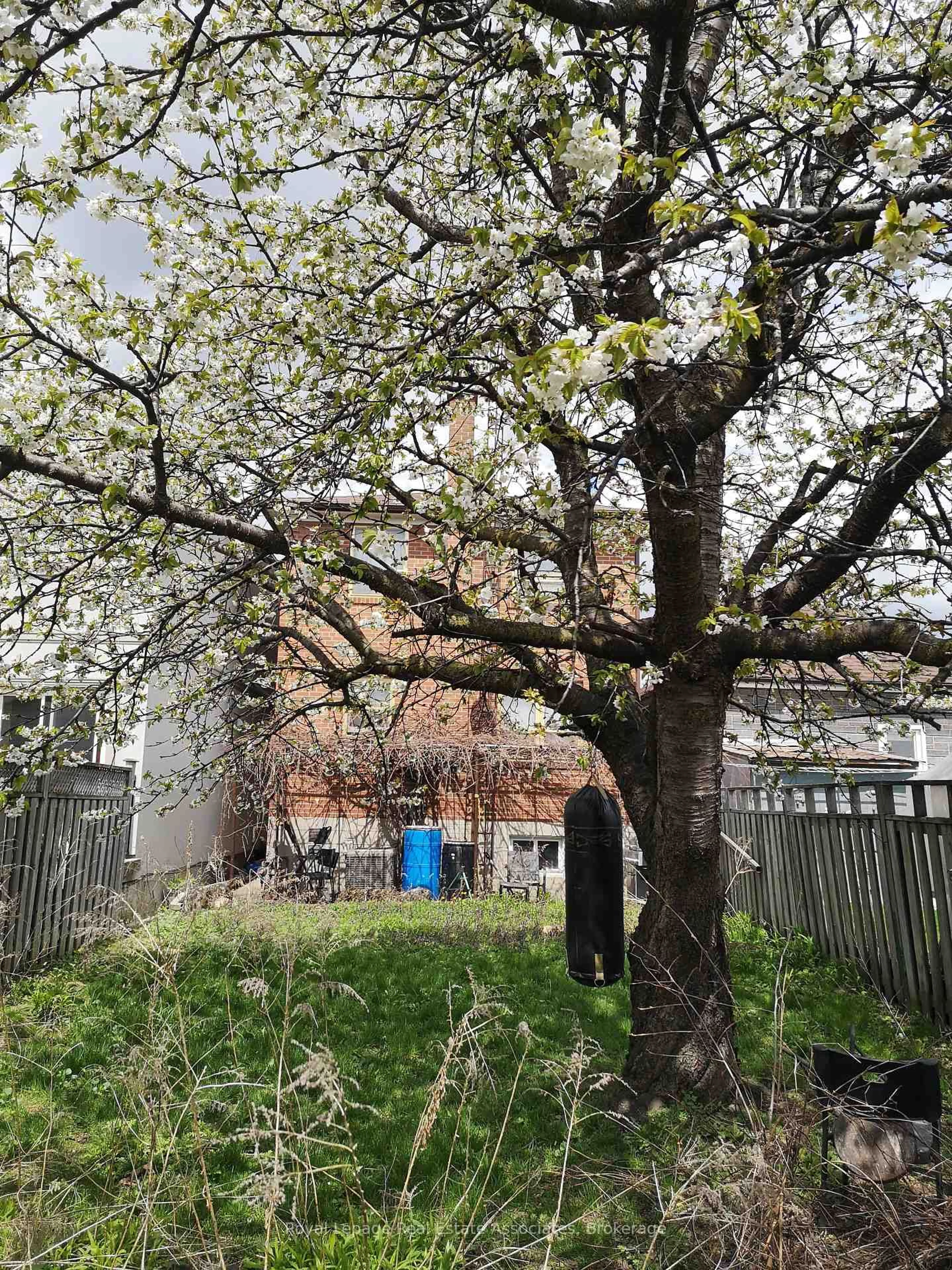A pic from outside/outdoor area/front of a property/back of a property/a pic from drone, street for 5 Homeview Ave, Toronto Ontario M6N 1S9