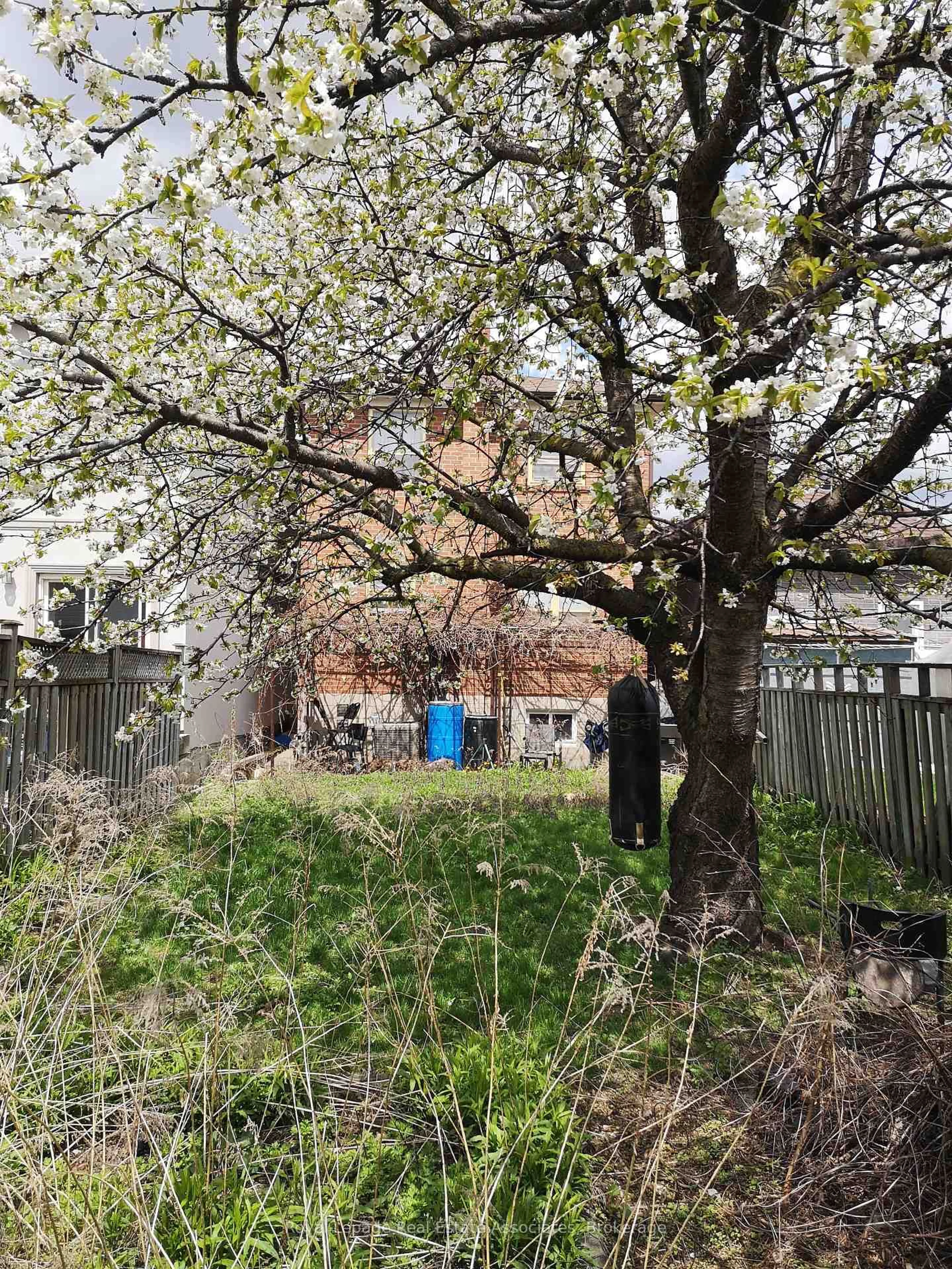 A pic from outside/outdoor area/front of a property/back of a property/a pic from drone, street for 5 Homeview Ave, Toronto Ontario M6N 1S9