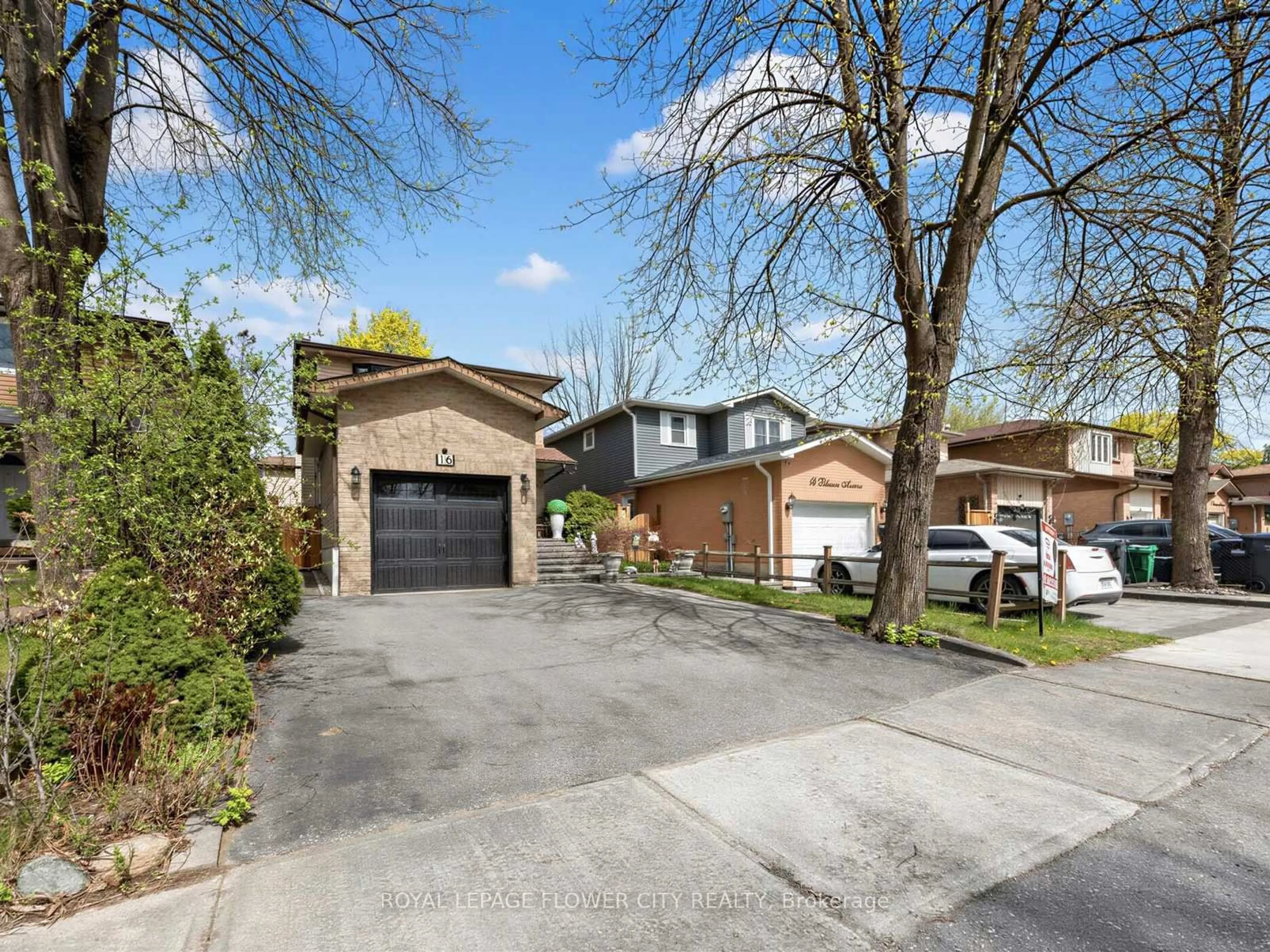 Home with brick exterior material, street for 16 Blossom Ave, Brampton Ontario L6X 2W3