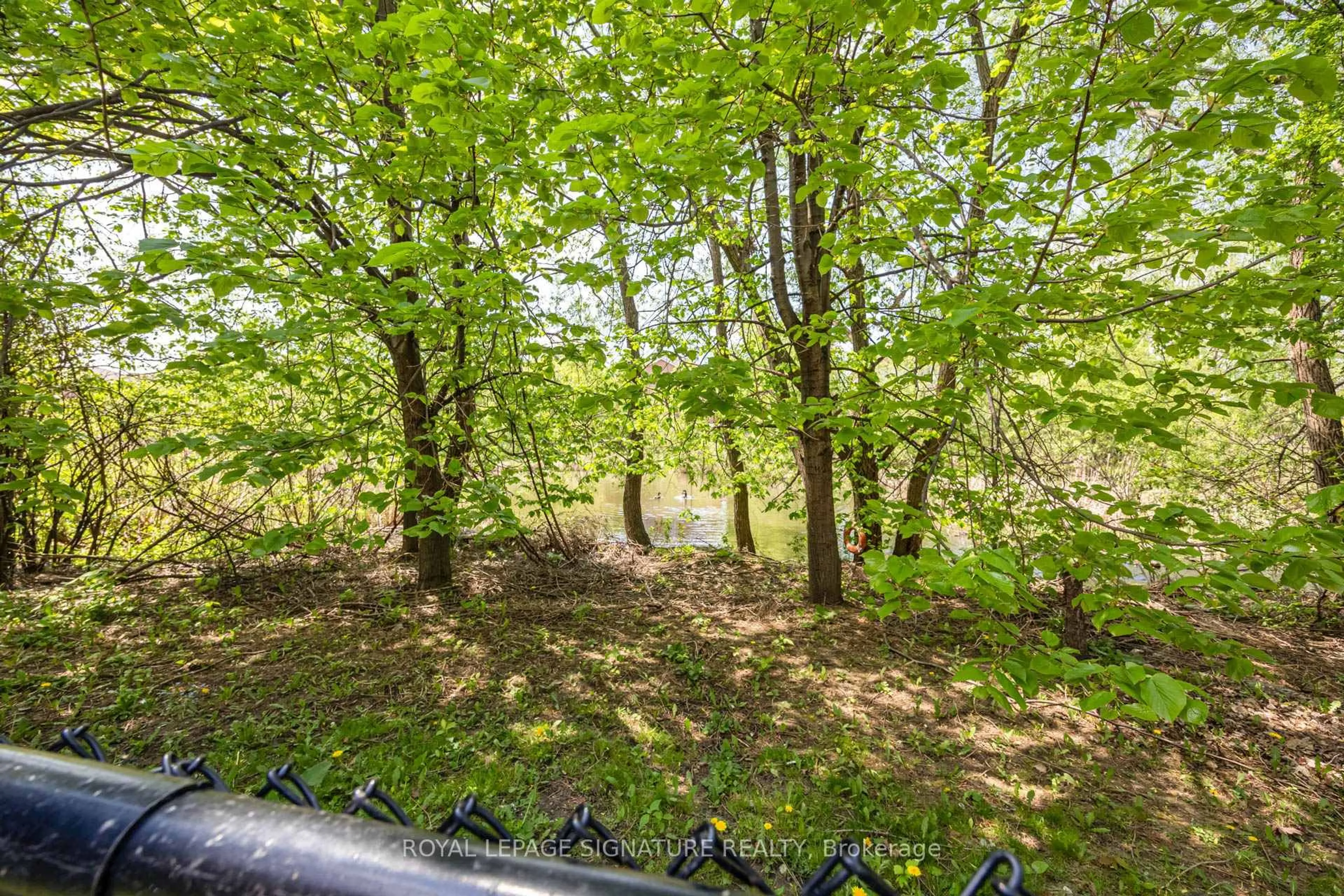 A pic from outside/outdoor area/front of a property/back of a property/a pic from drone, forest/trees view for 42 Corvette Crt, Brampton Ontario L7A 2H8