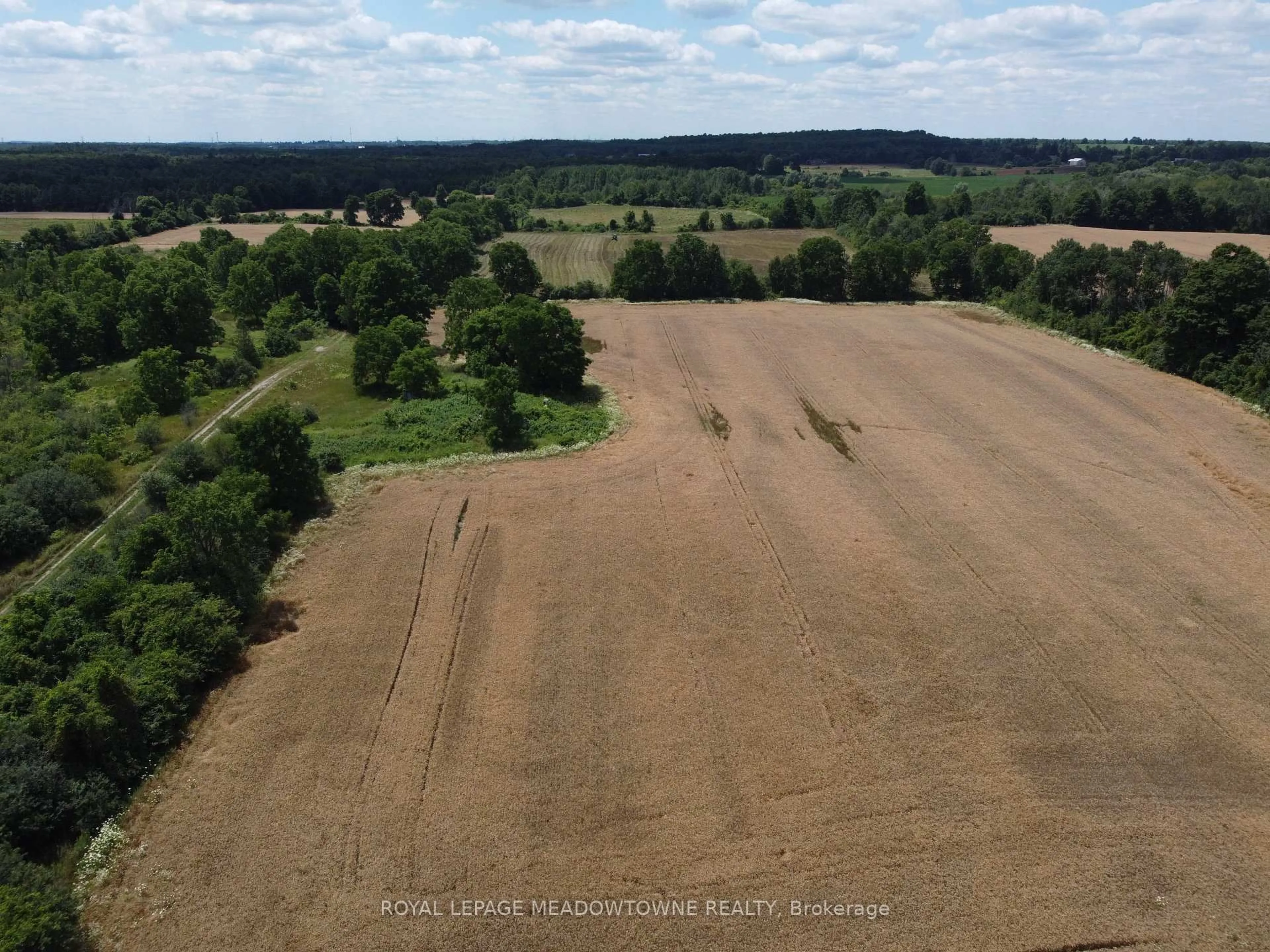 A pic from outside/outdoor area/front of a property/back of a property/a pic from drone, forest/trees view for 11080 First Line Nassagaweya, Milton Ontario L0P 1J0