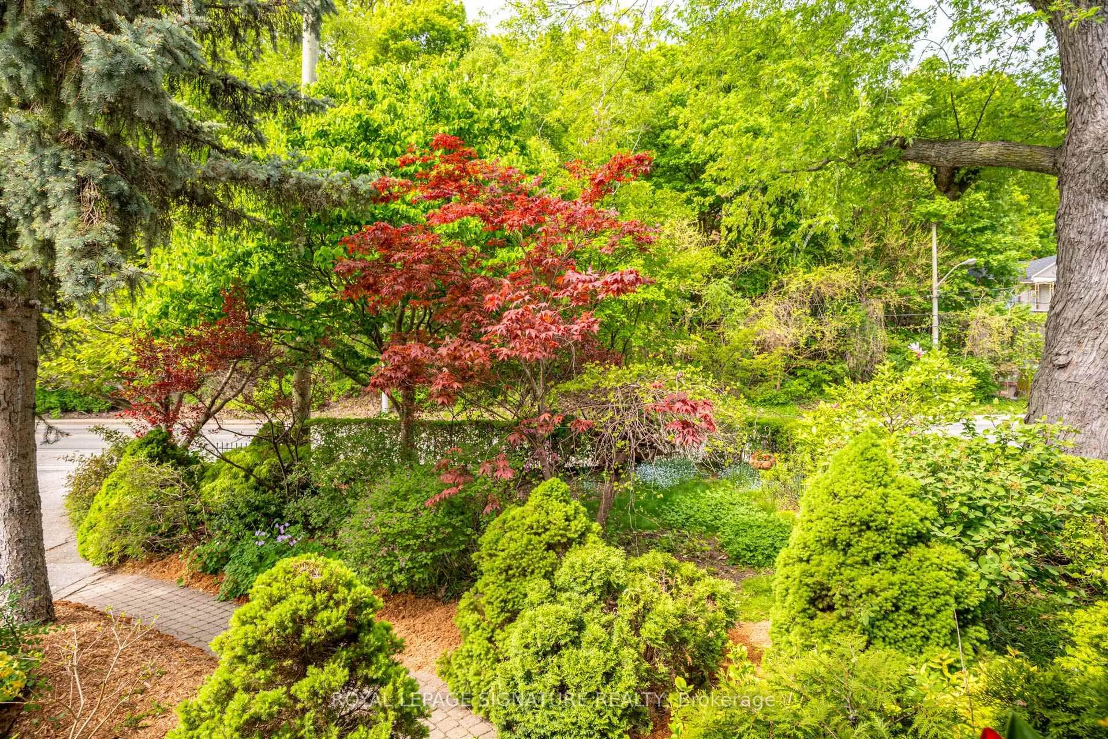 A pic from outside/outdoor area/front of a property/back of a property/a pic from drone, forest/trees view for 123 South Kingsway, Toronto Ontario M6S 3T5