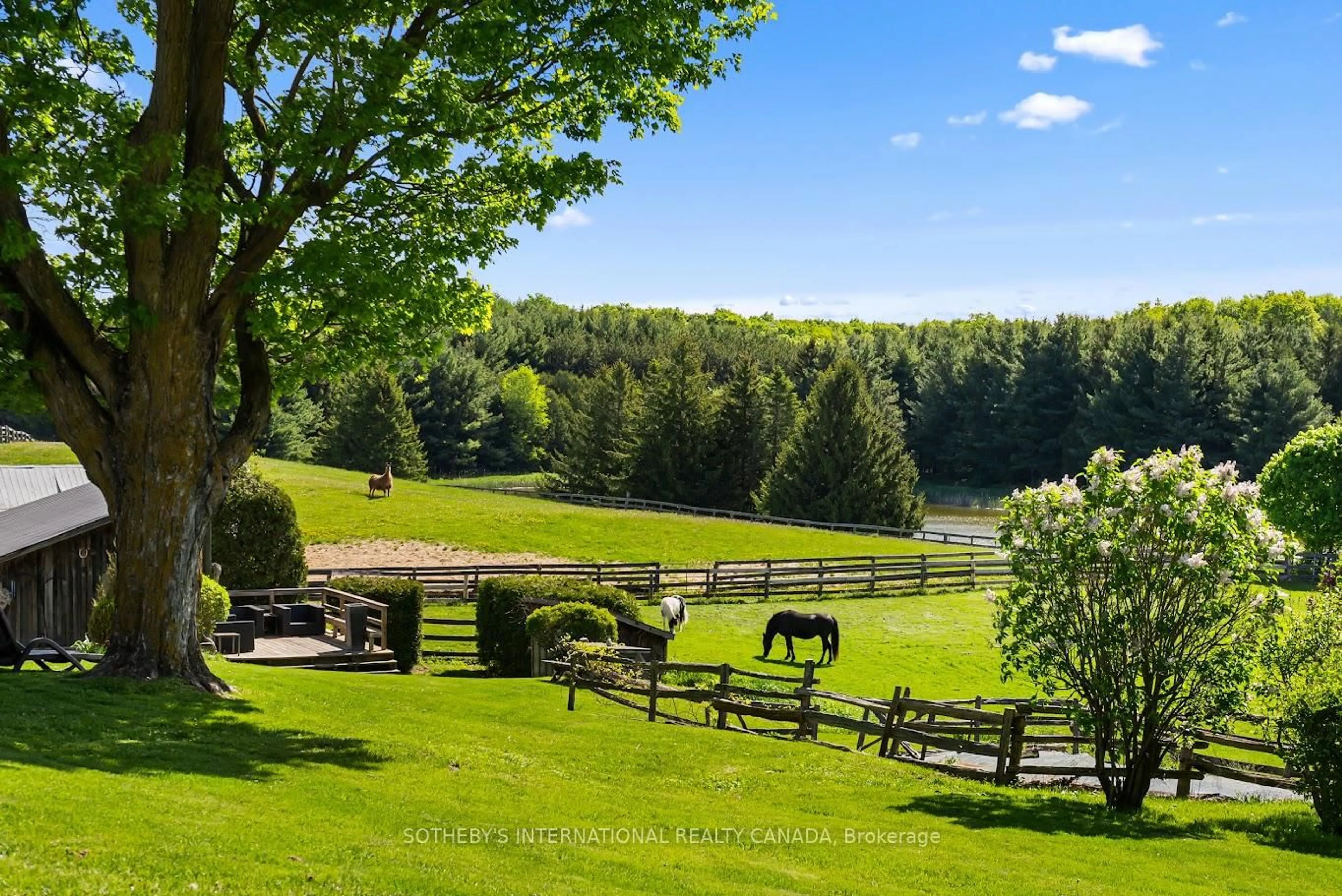 Patio, water/lake/river/ocean view for 18101 Shaws Creek Rd, Caledon Ontario L7K 0E8