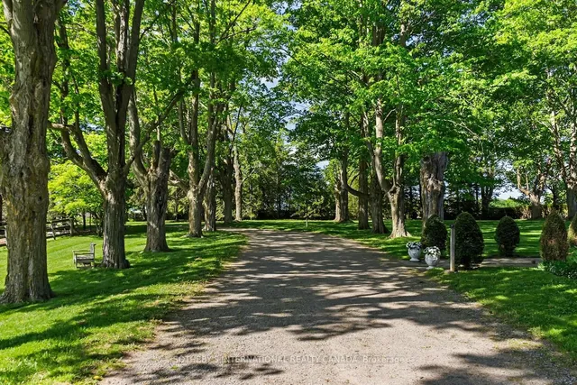 18101 Shaws Creek Rd, Caledon 5