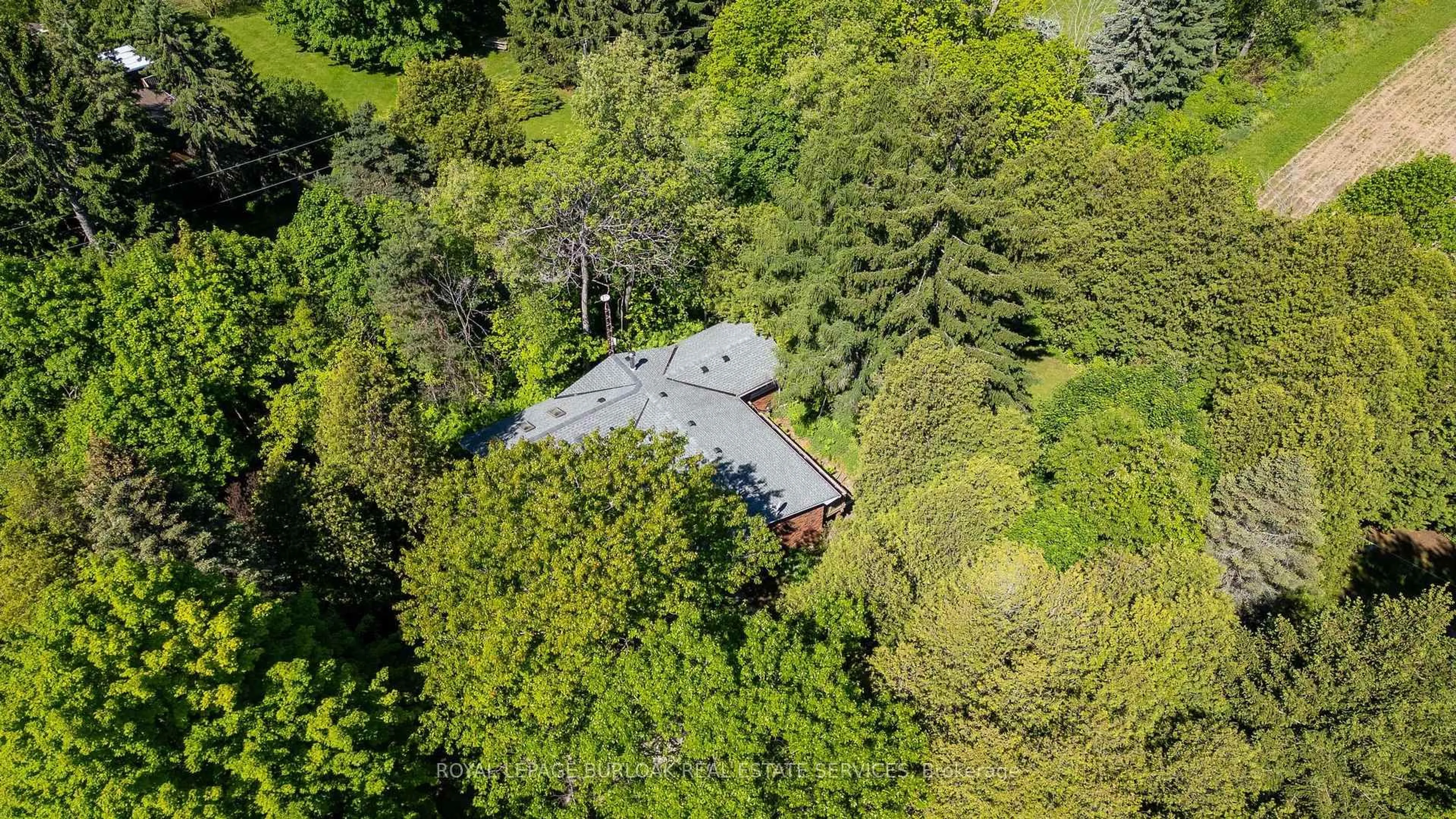 A pic from outside/outdoor area/front of a property/back of a property/a pic from drone, forest/trees view for 1265 Britannia Rd, Burlington Ontario L7P 0E7