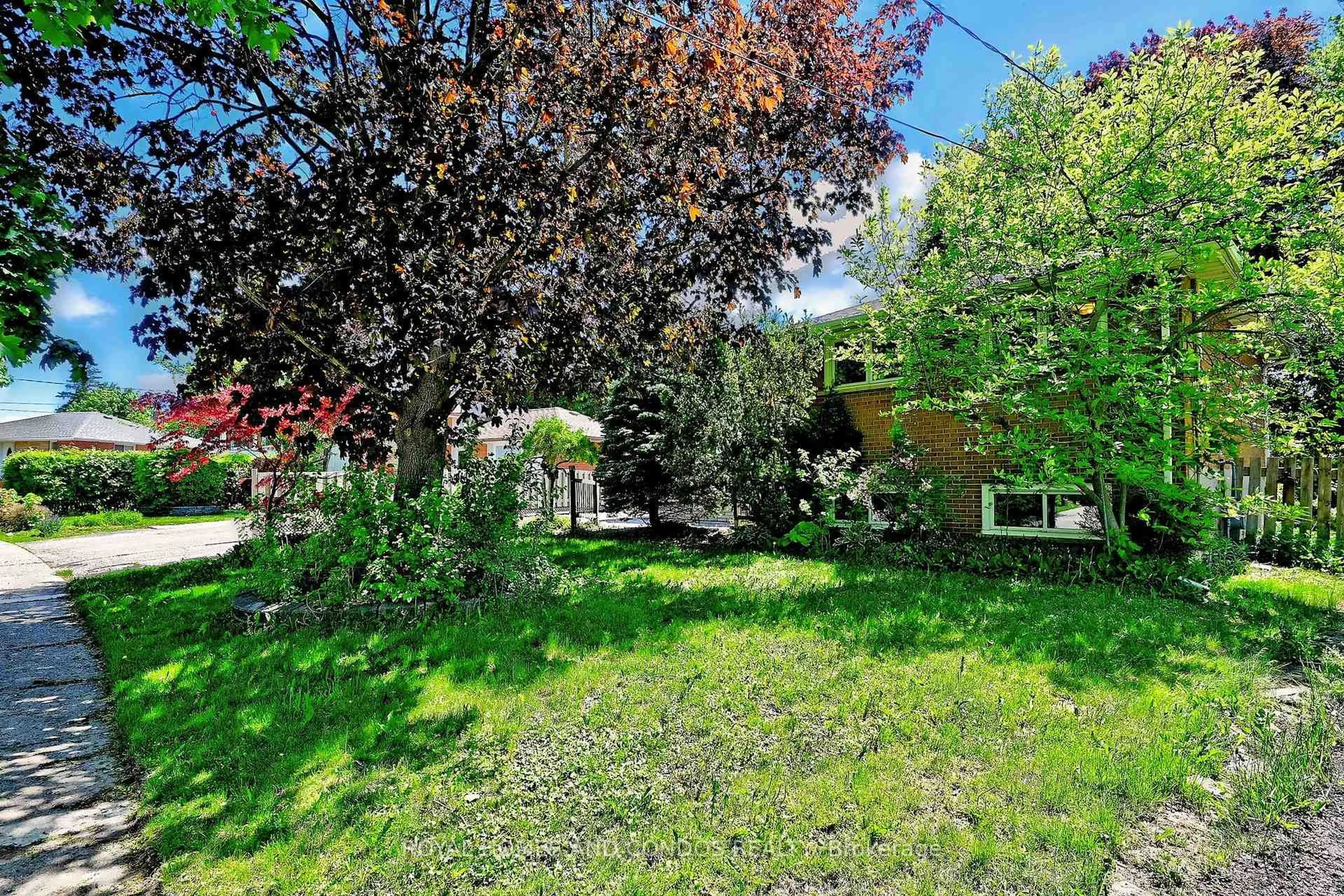 Patio, forest/trees view for 6 Raylawn Cres, Halton Hills Ontario L7G 4M5