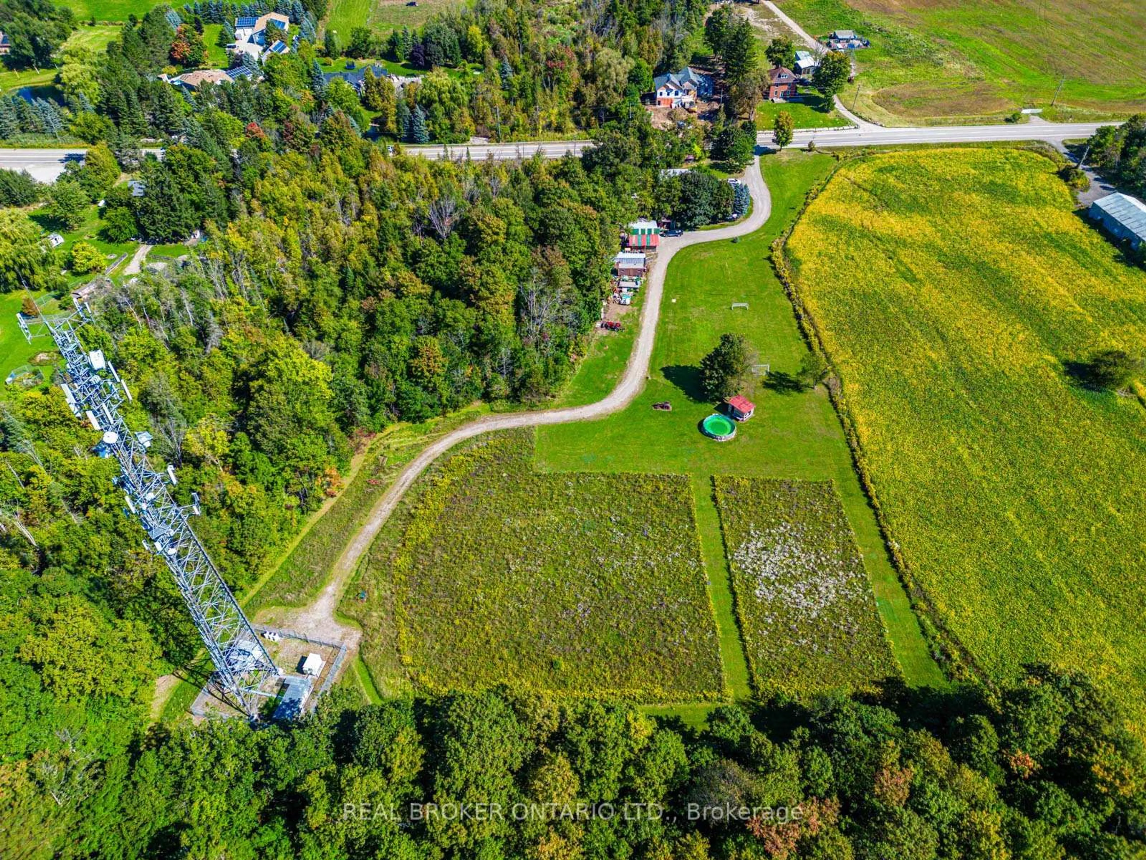 A pic from outside/outdoor area/front of a property/back of a property/a pic from drone, forest/trees view for 13908/13958 Trafalgar Rd, Halton Hills Ontario L7G 4S4
