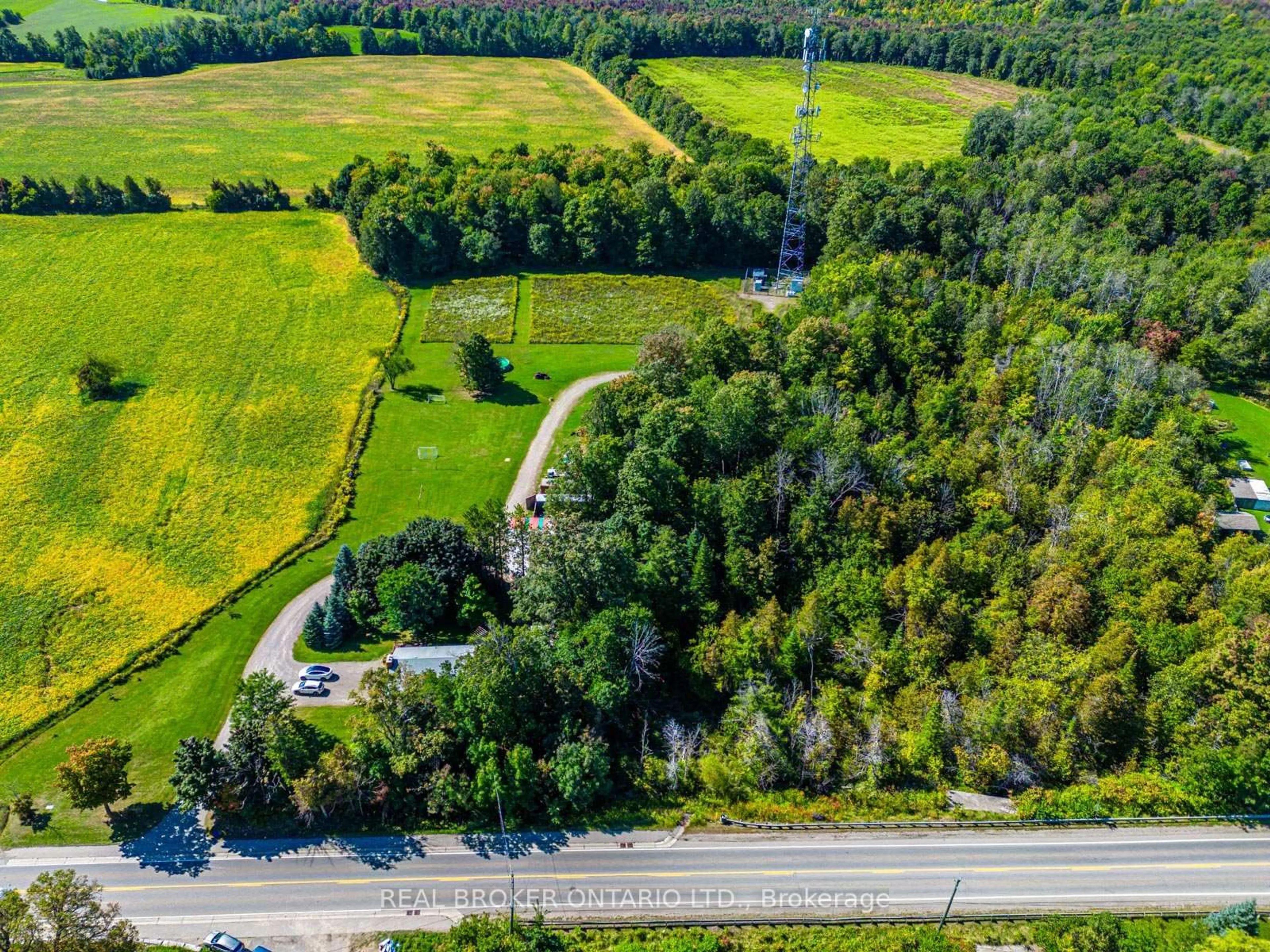 A pic from outside/outdoor area/front of a property/back of a property/a pic from drone, forest/trees view for 13908/13958 Trafalgar Rd, Halton Hills Ontario L7G 4S4