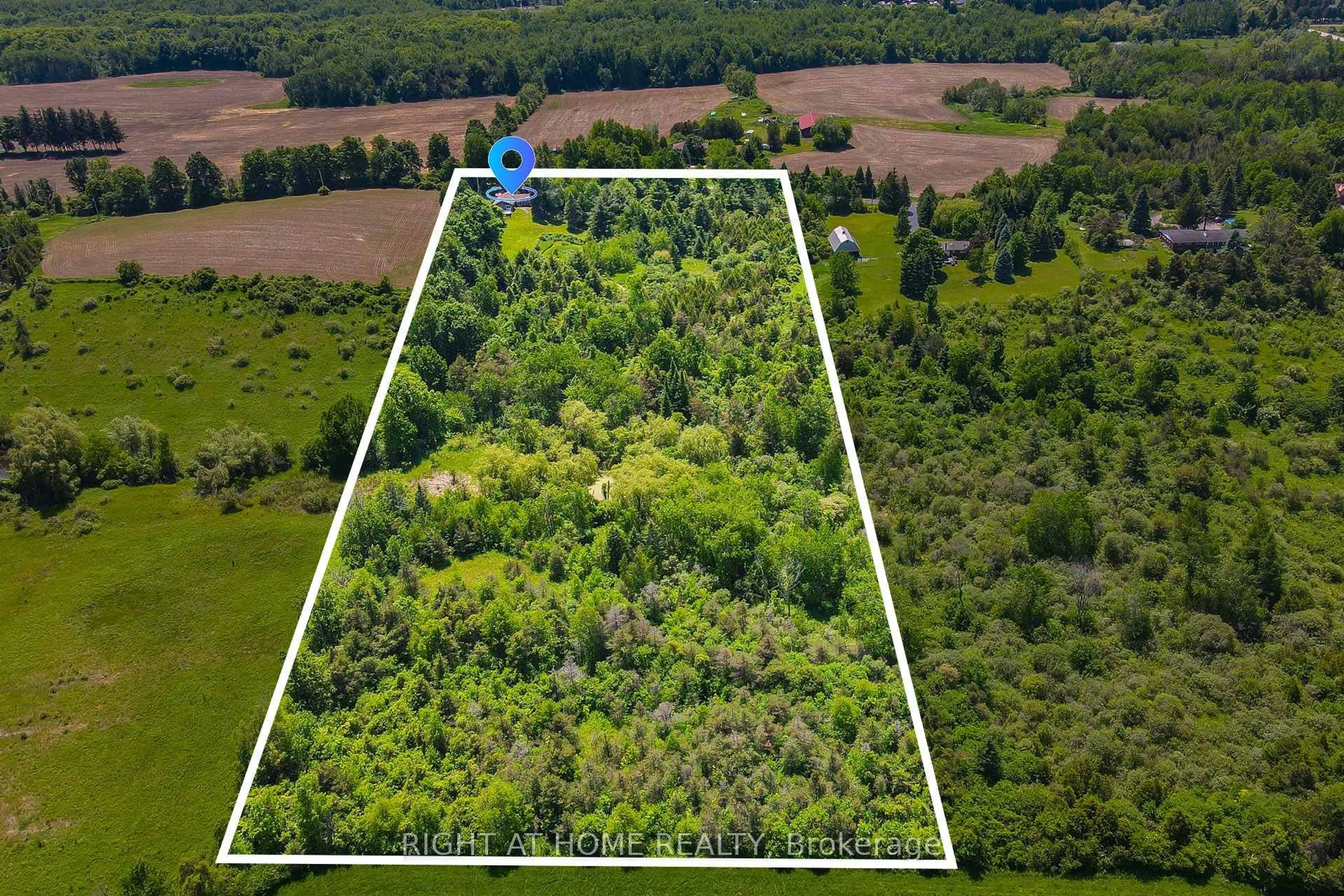 A pic from outside/outdoor area/front of a property/back of a property/a pic from drone, forest/trees view for 12815 Dublin Line, Halton Hills Ontario L7J 2M1