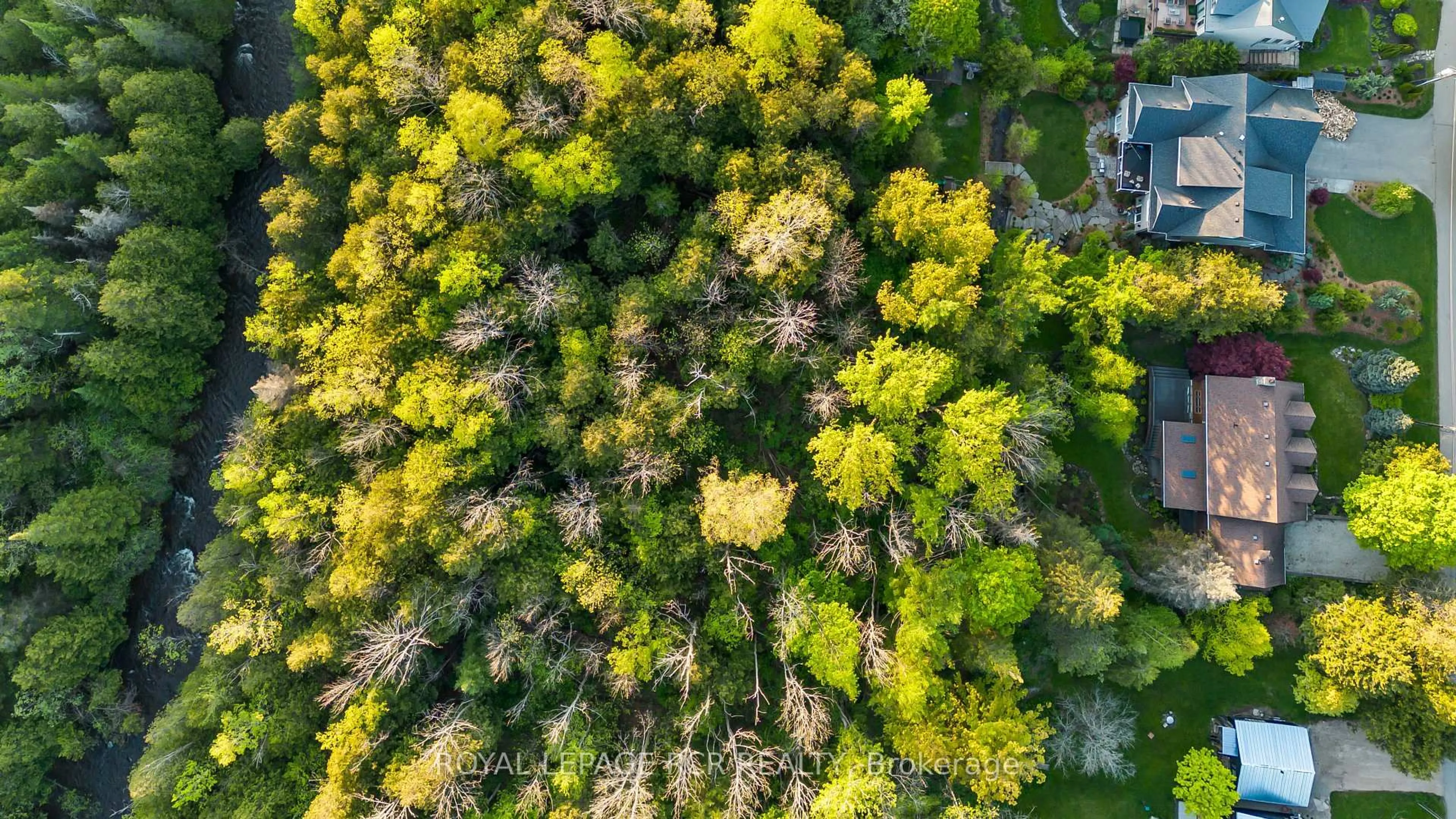 A pic from outside/outdoor area/front of a property/back of a property/a pic from drone, forest/trees view for 304 Dominion St, Caledon Ontario L7K 2H9