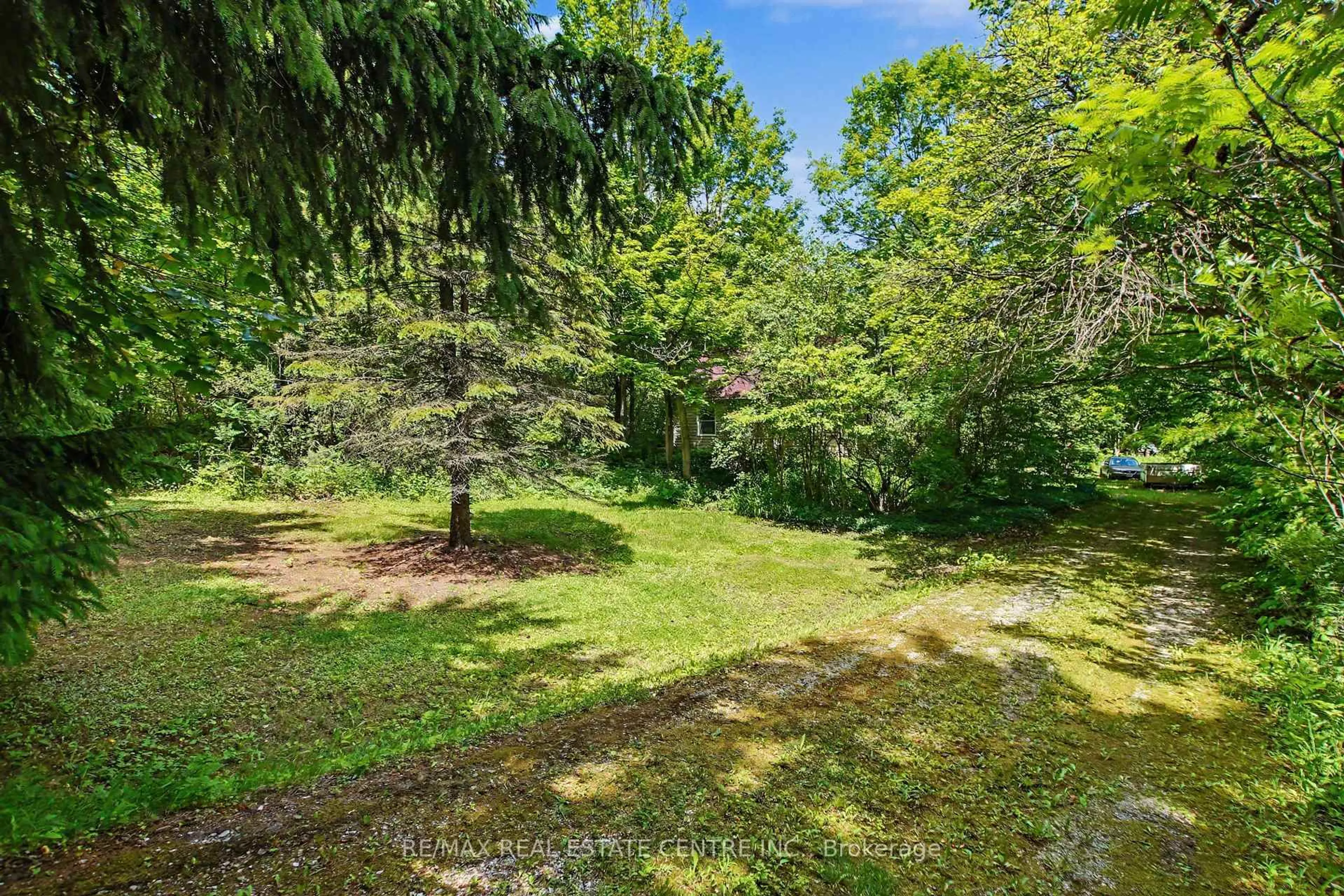A pic from outside/outdoor area/front of a property/back of a property/a pic from drone, forest/trees view for 8327 First Line, Milton Ontario L0P 1B0