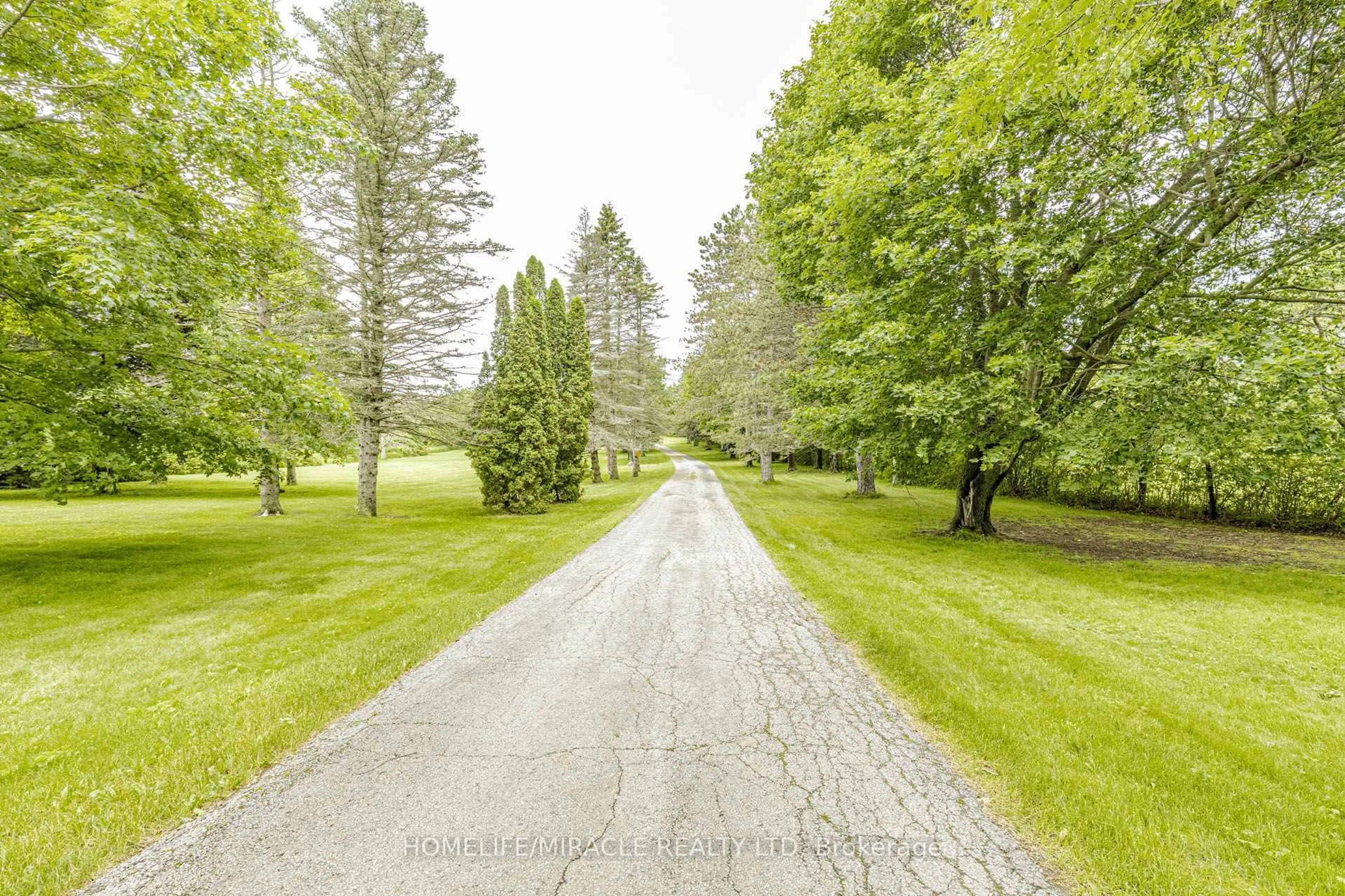 Patio, street for 11948 Dublin Line, Halton Hills Ontario L7J 2M1