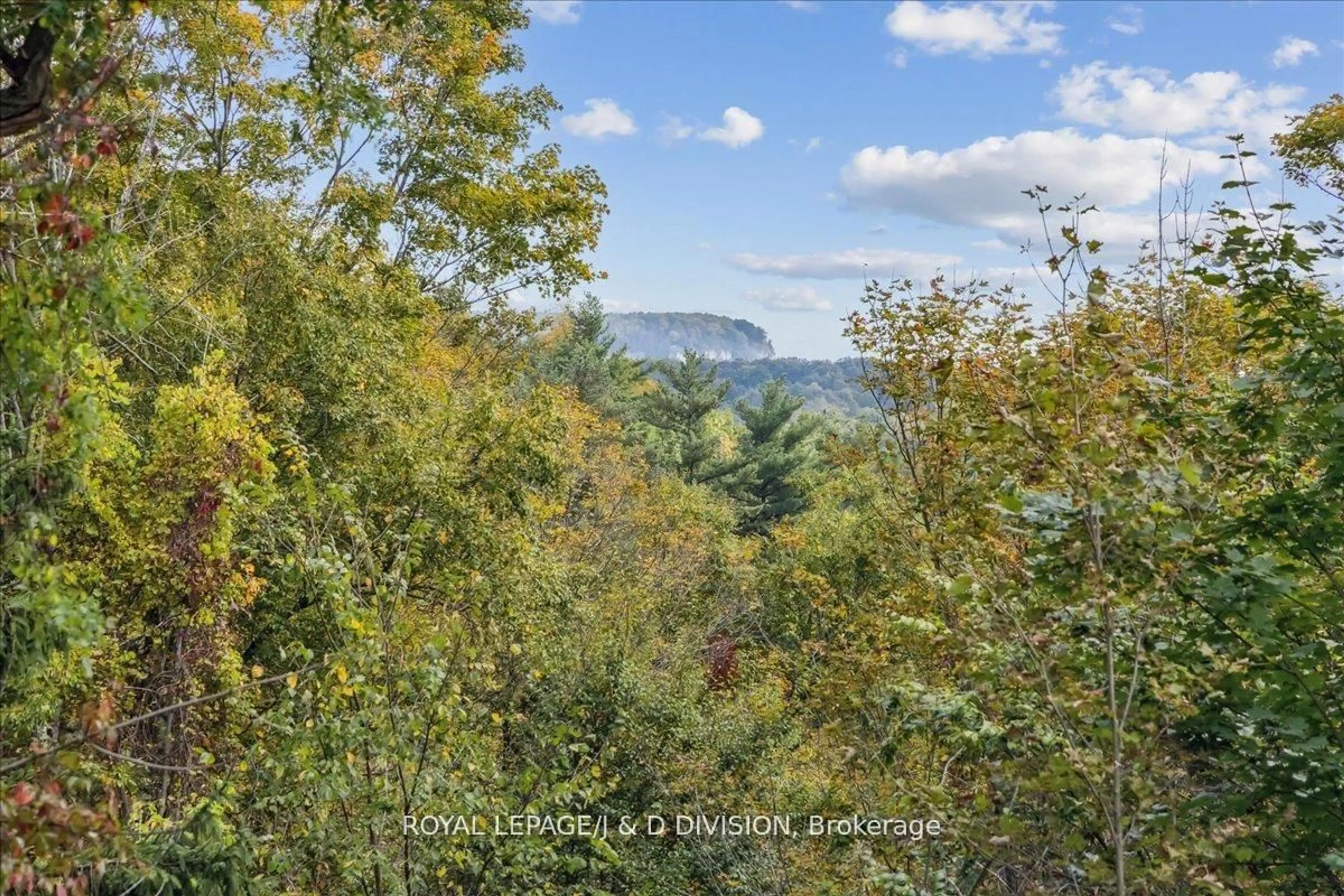 A pic from outside/outdoor area/front of a property/back of a property/a pic from drone, forest/trees view for 7095 Guelph Line, Milton Ontario L0P 1B0