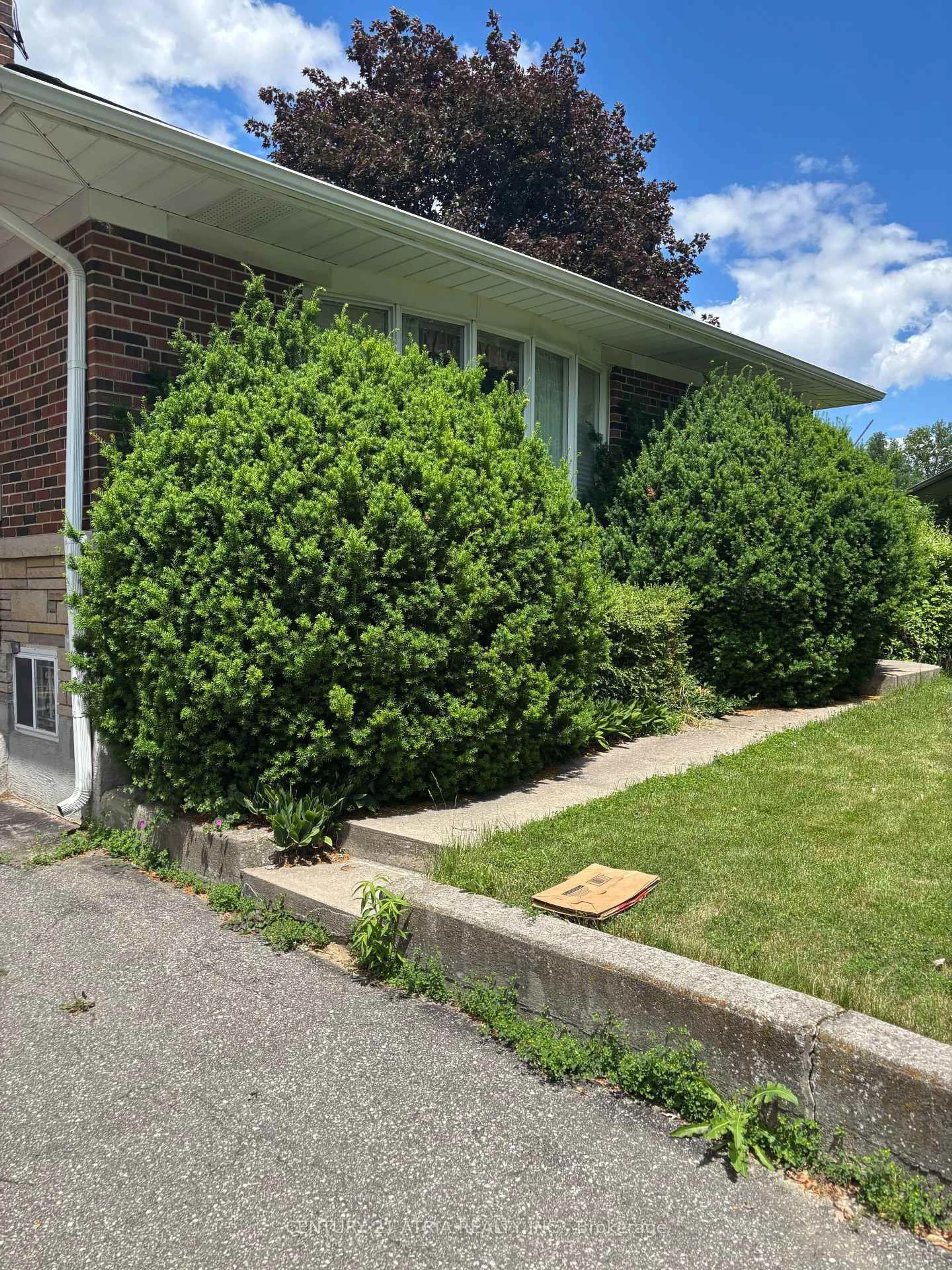 Unknown for 4 Winesap Pl, Toronto Ontario M9A 1M4