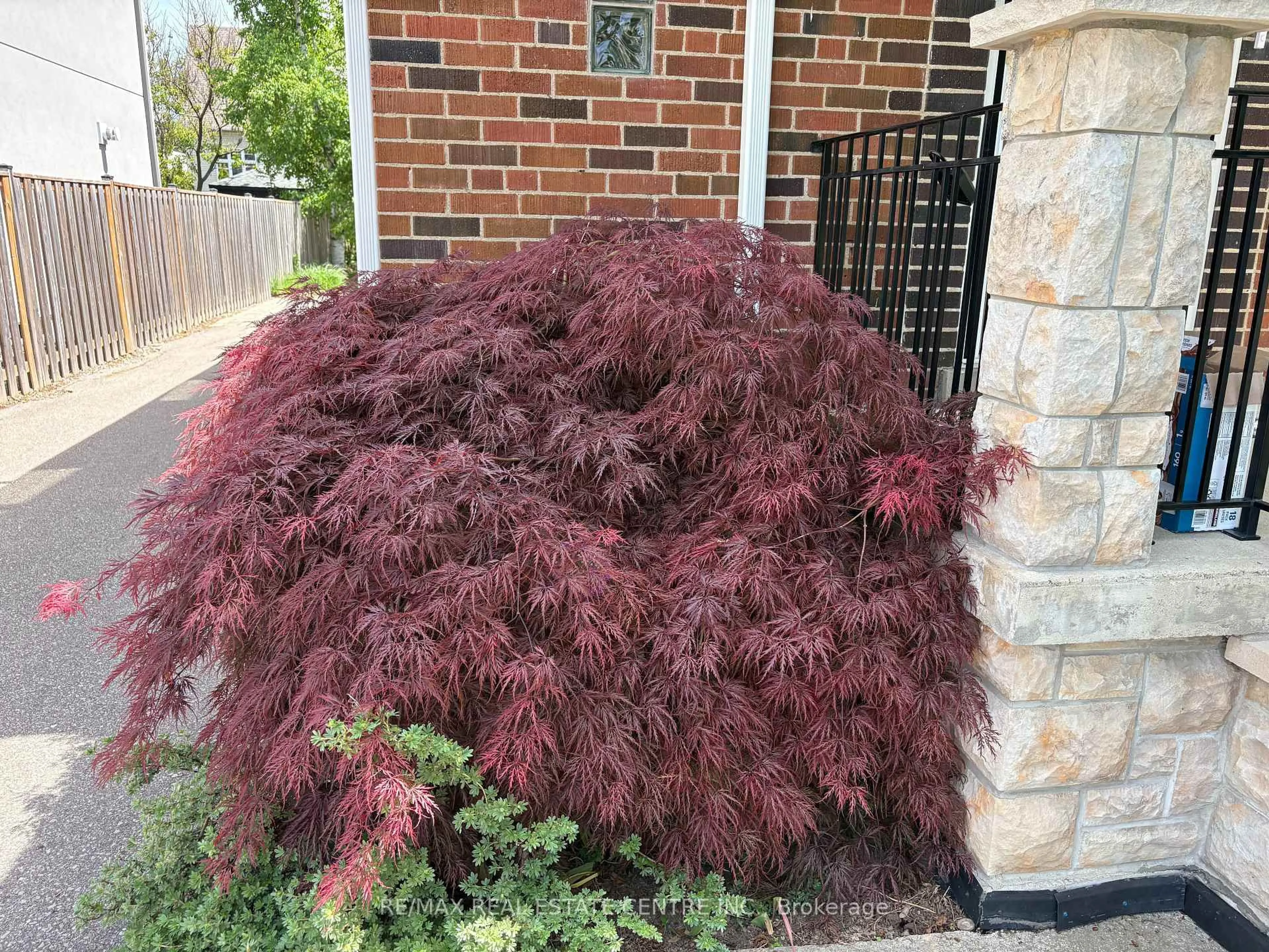 Unknown for 37 Maple Ave, Mississauga Ontario L5H 2R9
