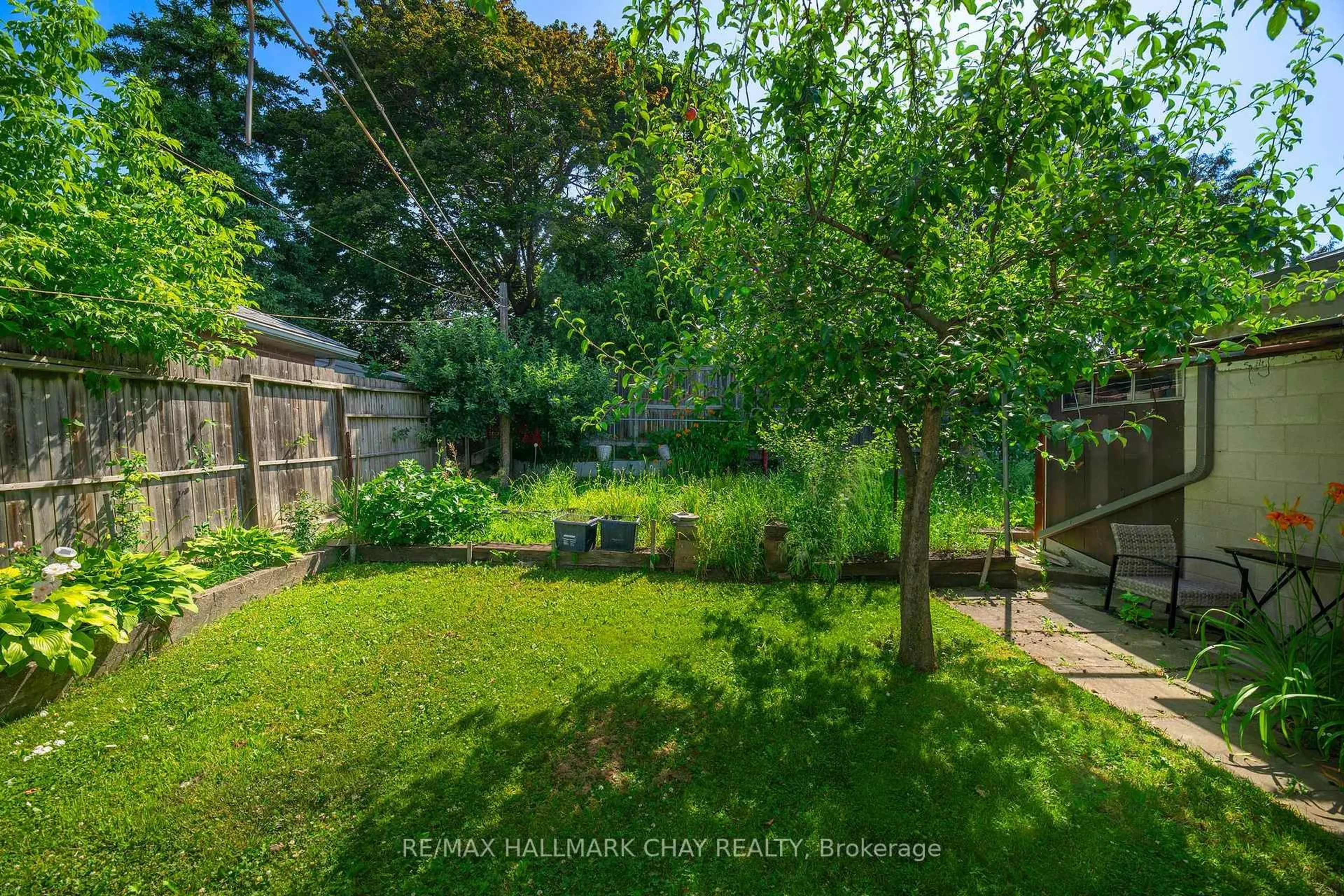 A pic from outside/outdoor area/front of a property/back of a property/a pic from drone, forest/trees view for 23 Chappel Hill Rd, Toronto Ontario M3M 1M1