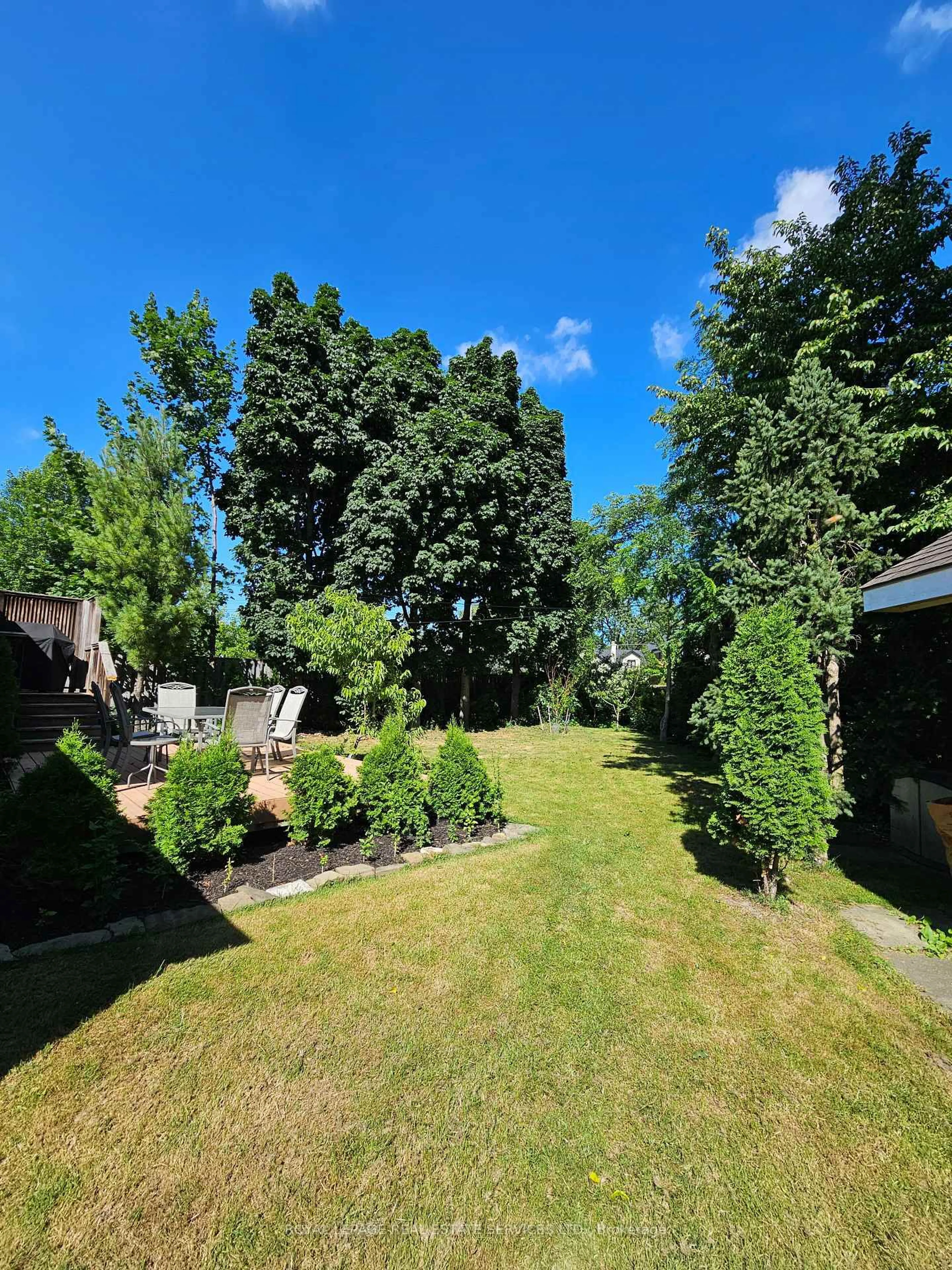 A pic from outside/outdoor area/front of a property/back of a property/a pic from drone, forest/trees view for 117 Westrose Ave, Toronto Ontario M8X 2A5