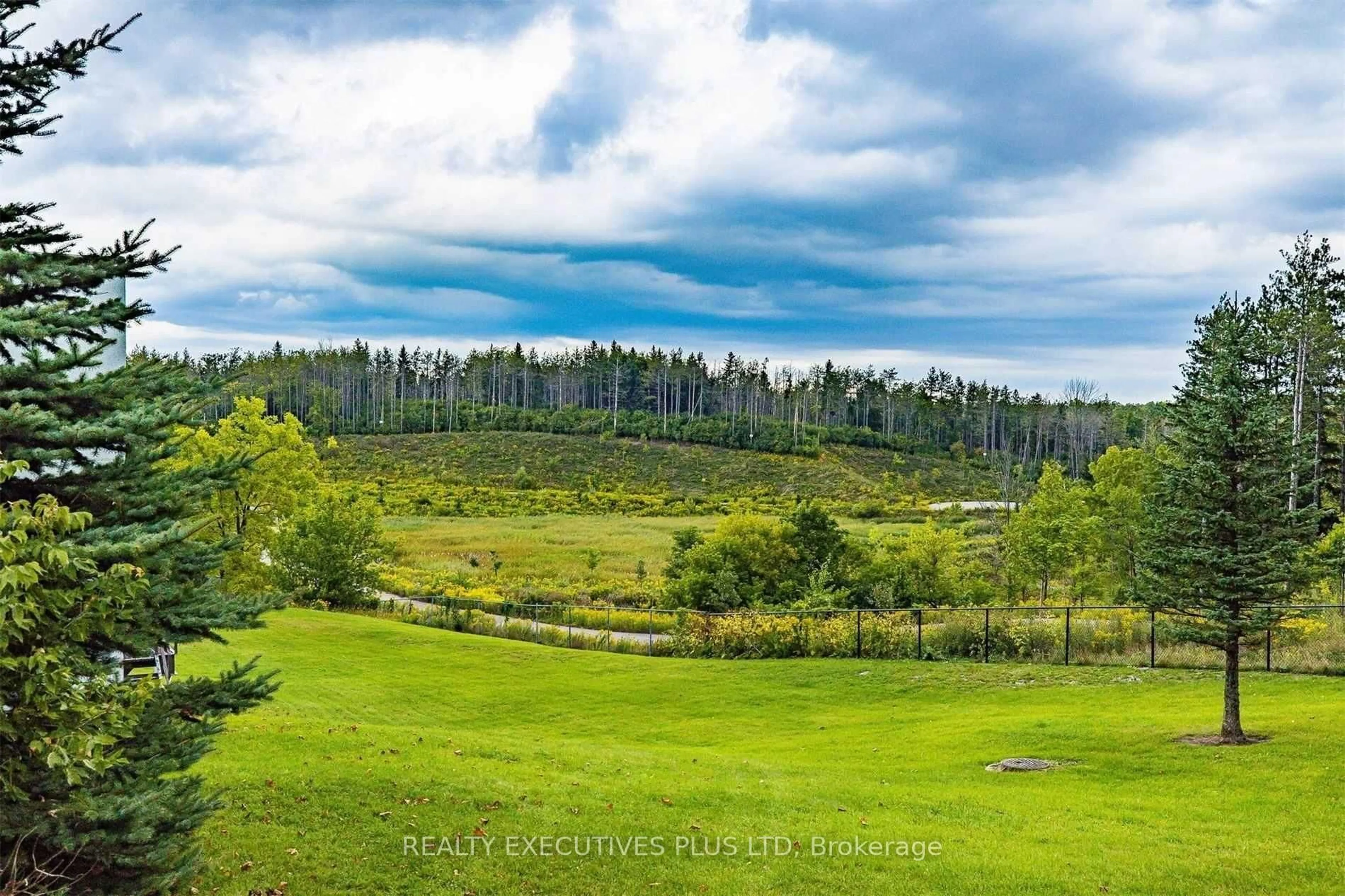 A pic from outside/outdoor area/front of a property/back of a property/a pic from drone, forest/trees view for 20 Mcfarlane Dr #603, Halton Hills Ontario L7G 5J8