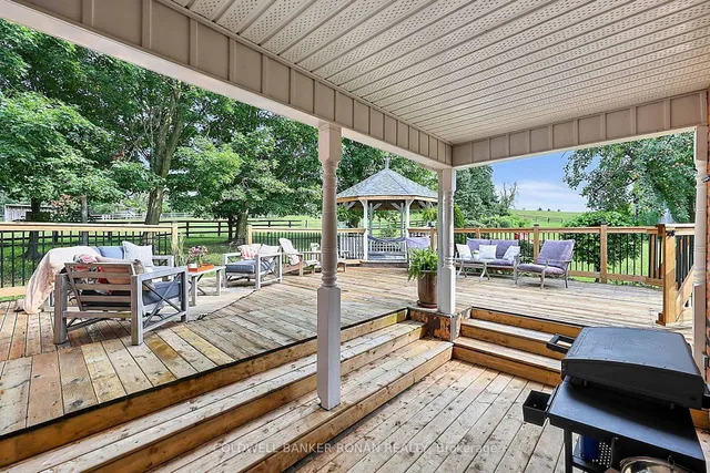 20855 Shaws Creek Rd, Caledon 4