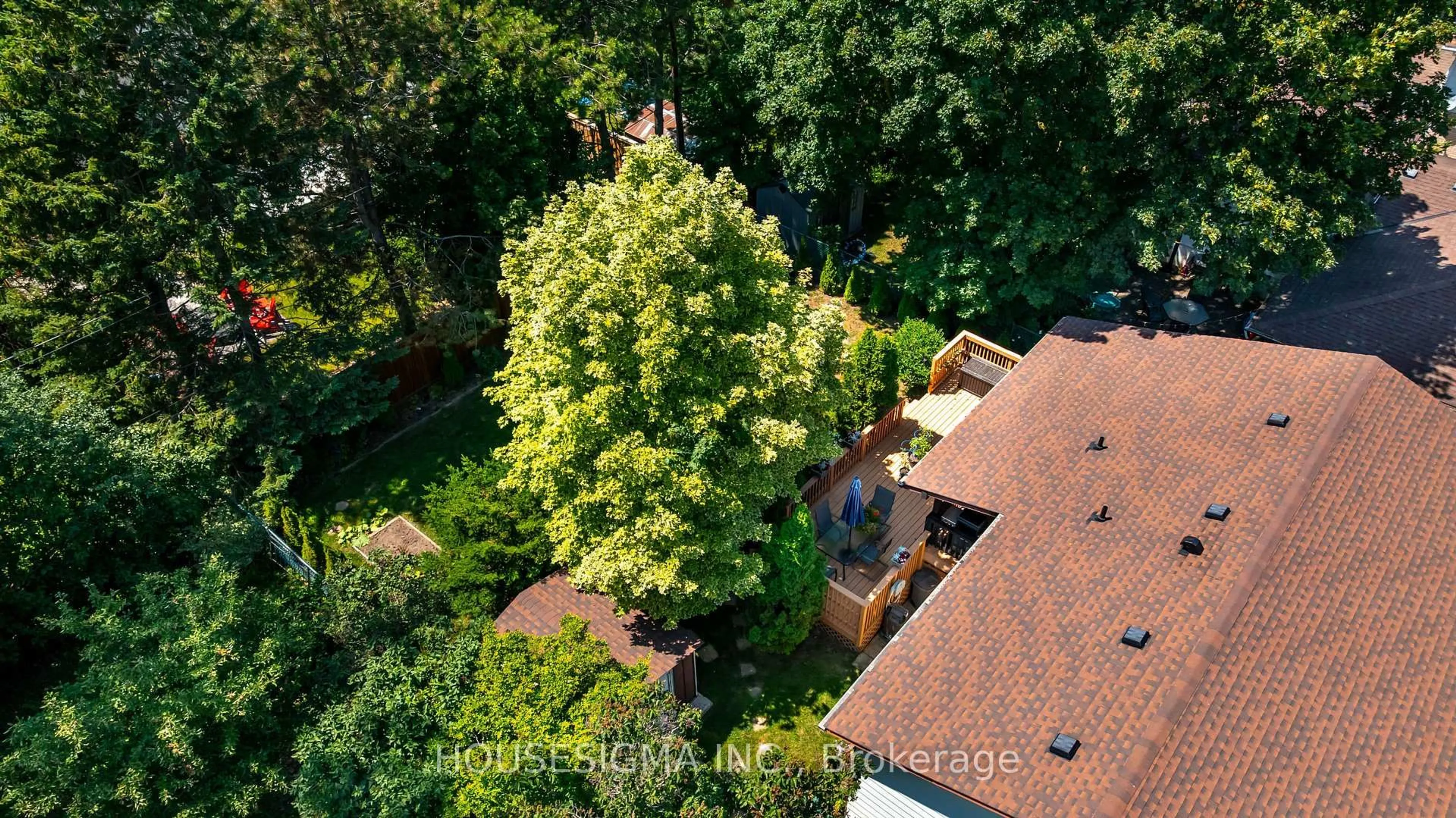 A pic from outside/outdoor area/front of a property/back of a property/a pic from drone, forest/trees view for 147 Church St, Orangeville Ontario L9W 1P3