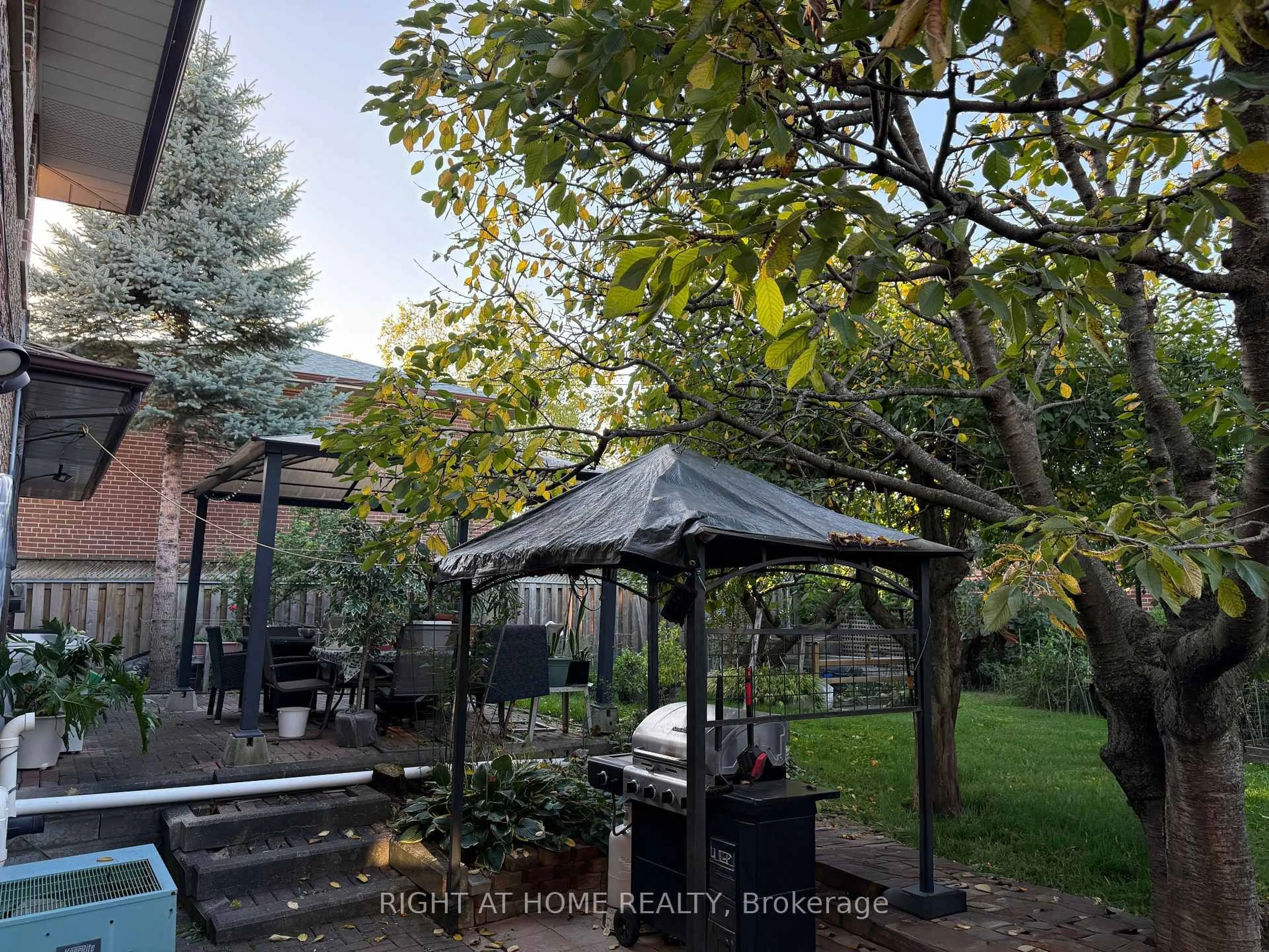 Patio, forest/trees view for 258 La Rose Ave, Toronto Ontario M9P 1B7