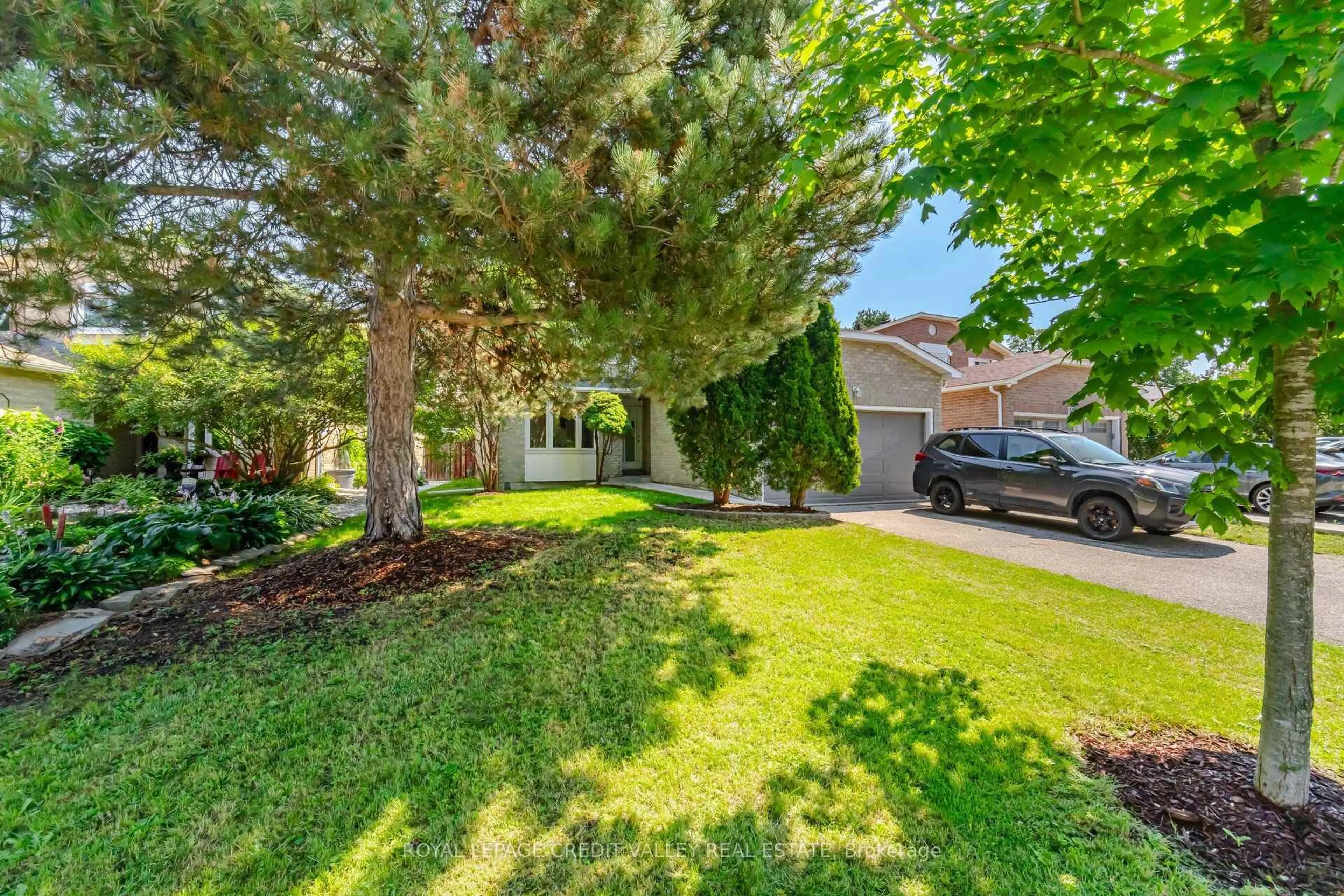 A pic from outside/outdoor area/front of a property/back of a property/a pic from drone, street for 49 Sutter Ave, Brampton Ontario L6Z 1G6