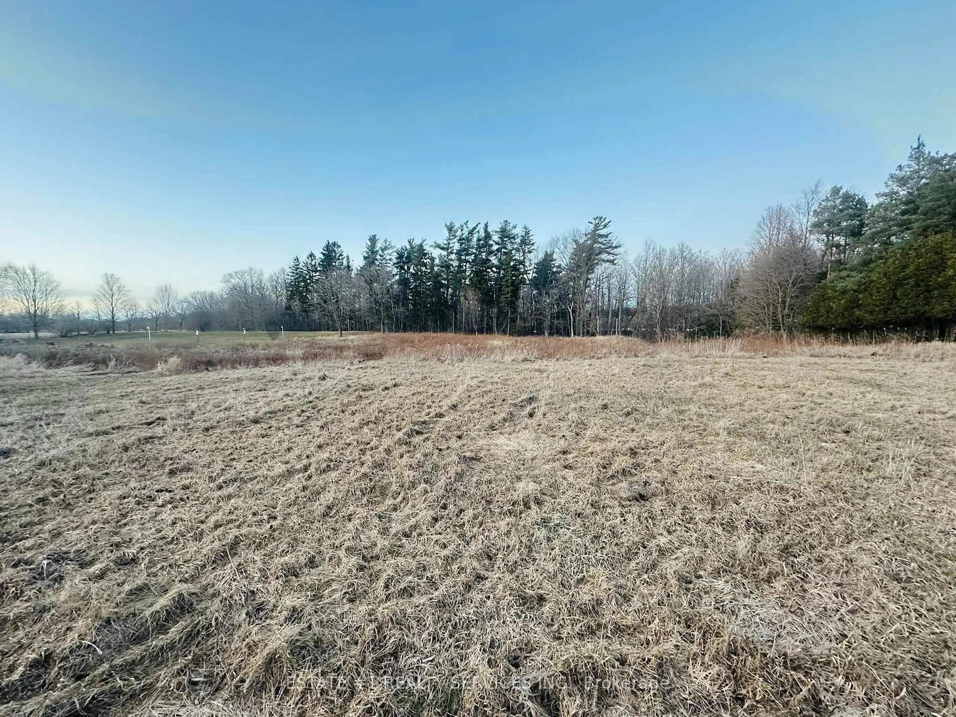 Unknown for 10231 Old Pinecrest Rd, Brampton Ontario L7A 0A4