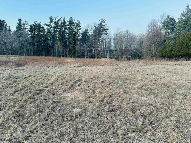 10231 Old Pinecrest Rd, Brampton 5