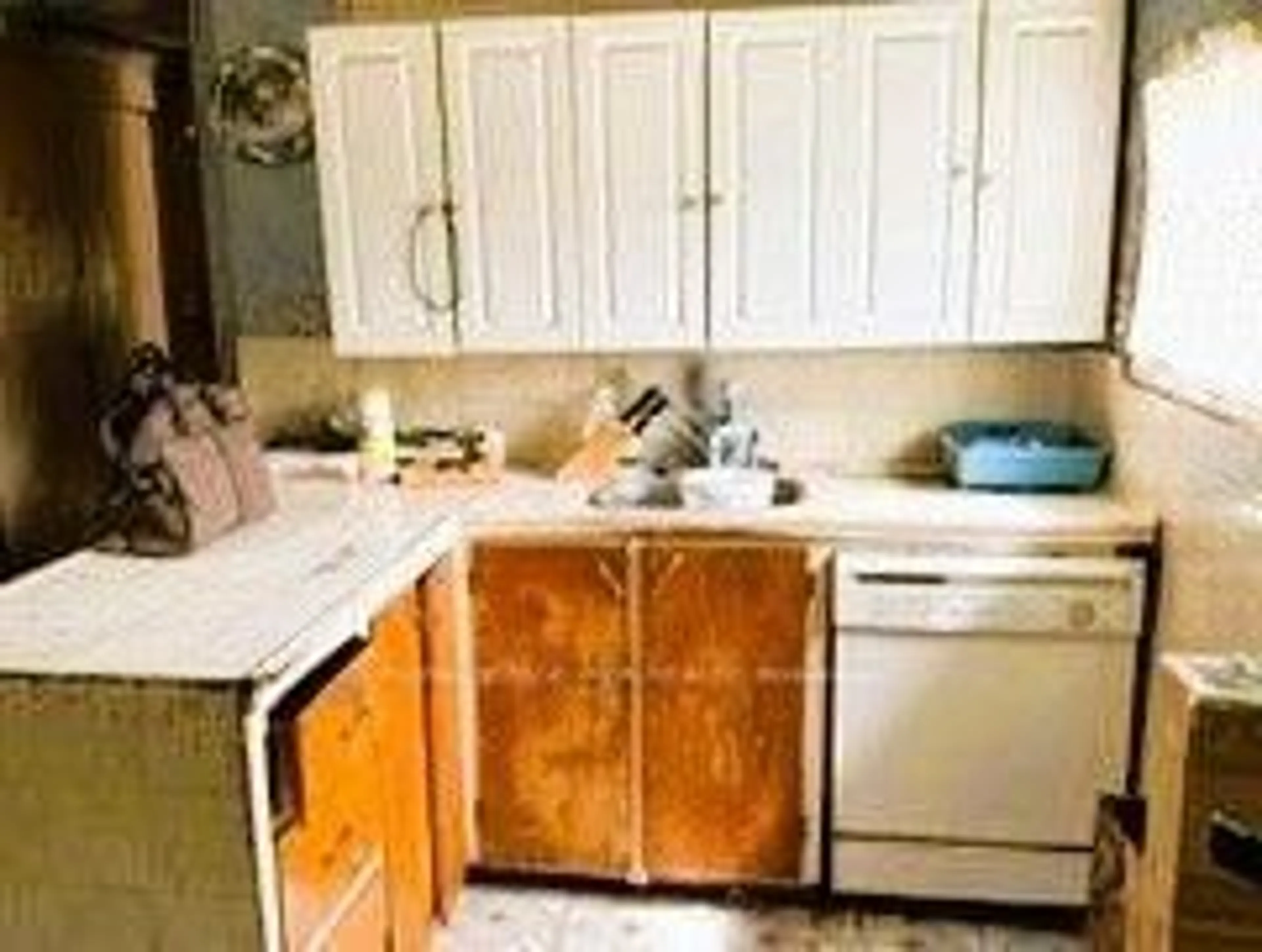 Standard kitchen, unknown for 18 Young St, Halton Hills Ontario L7J 2G6