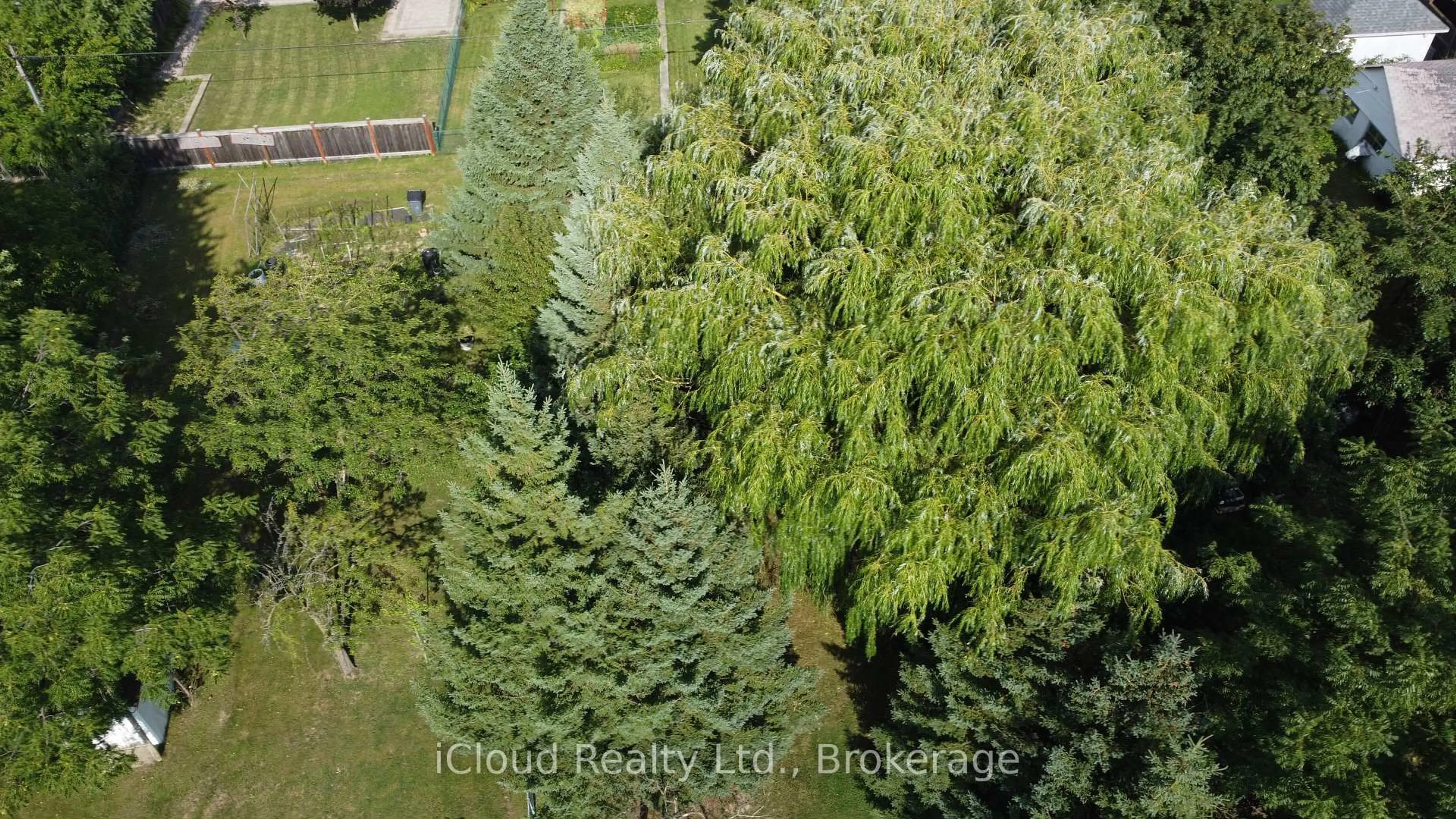 A pic from outside/outdoor area/front of a property/back of a property/a pic from drone, forest/trees view for 9 Benalto Rd, Toronto Ontario M6A 2R7
